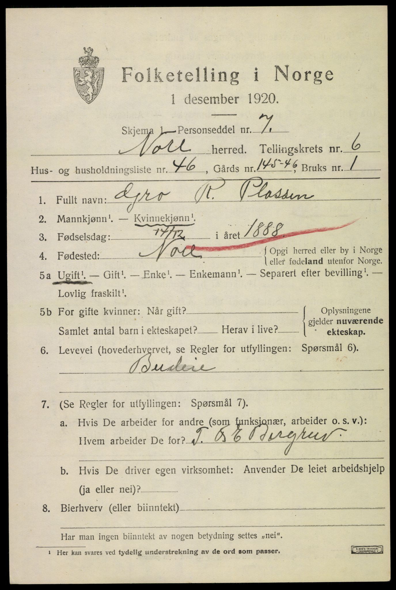 SAKO, 1920 census for Nore, 1920, p. 3030