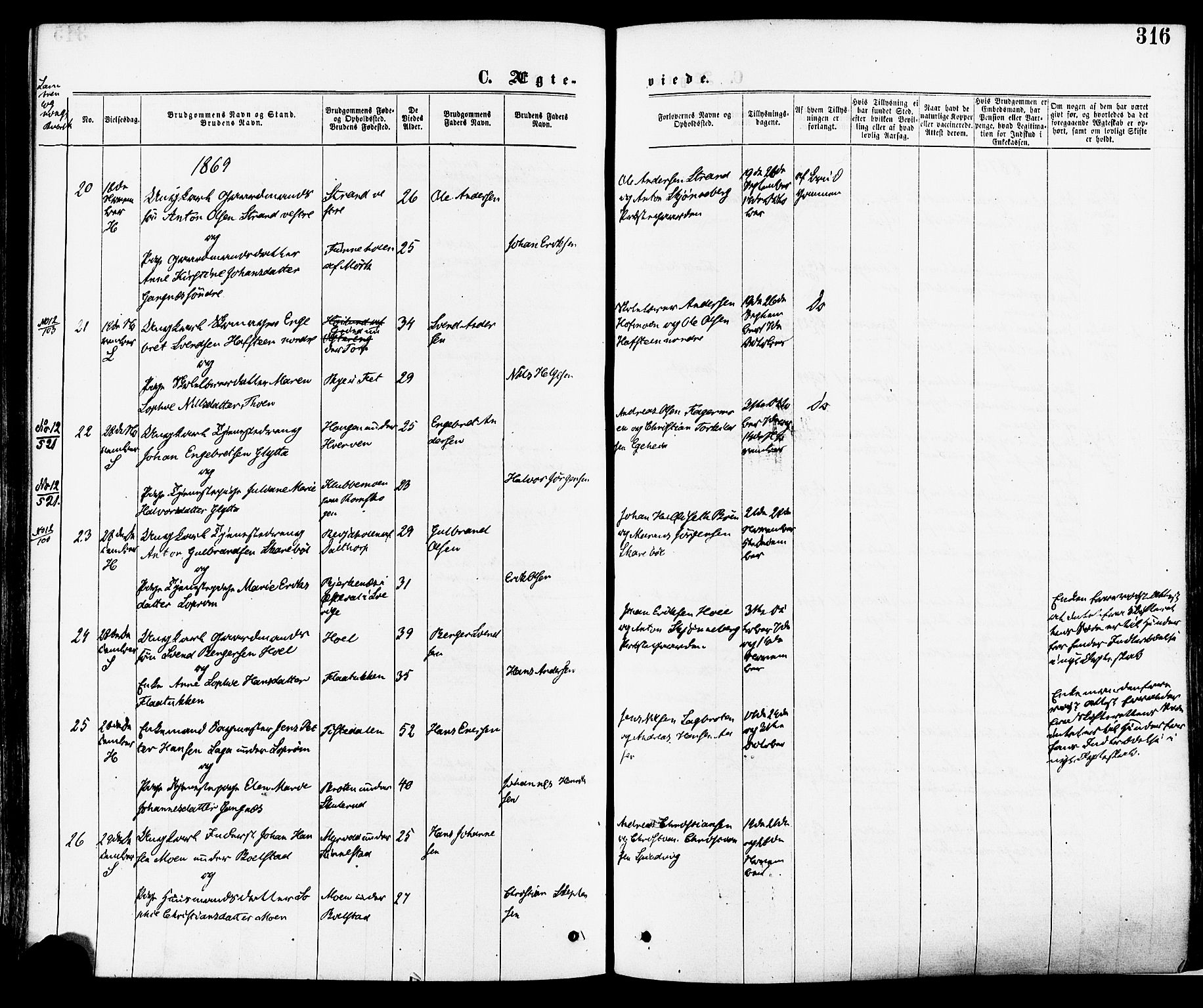 Høland prestekontor Kirkebøker, AV/SAO-A-10346a/F/Fa/L0012.a: Parish register (official) no. I 12A, 1869-1879, p. 316