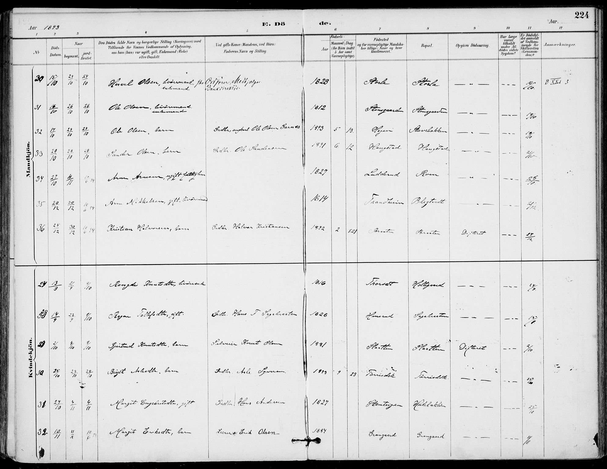 Gol kirkebøker, AV/SAKO-A-226/F/Fa/L0005: Parish register (official) no. I 5, 1887-1900, p. 224