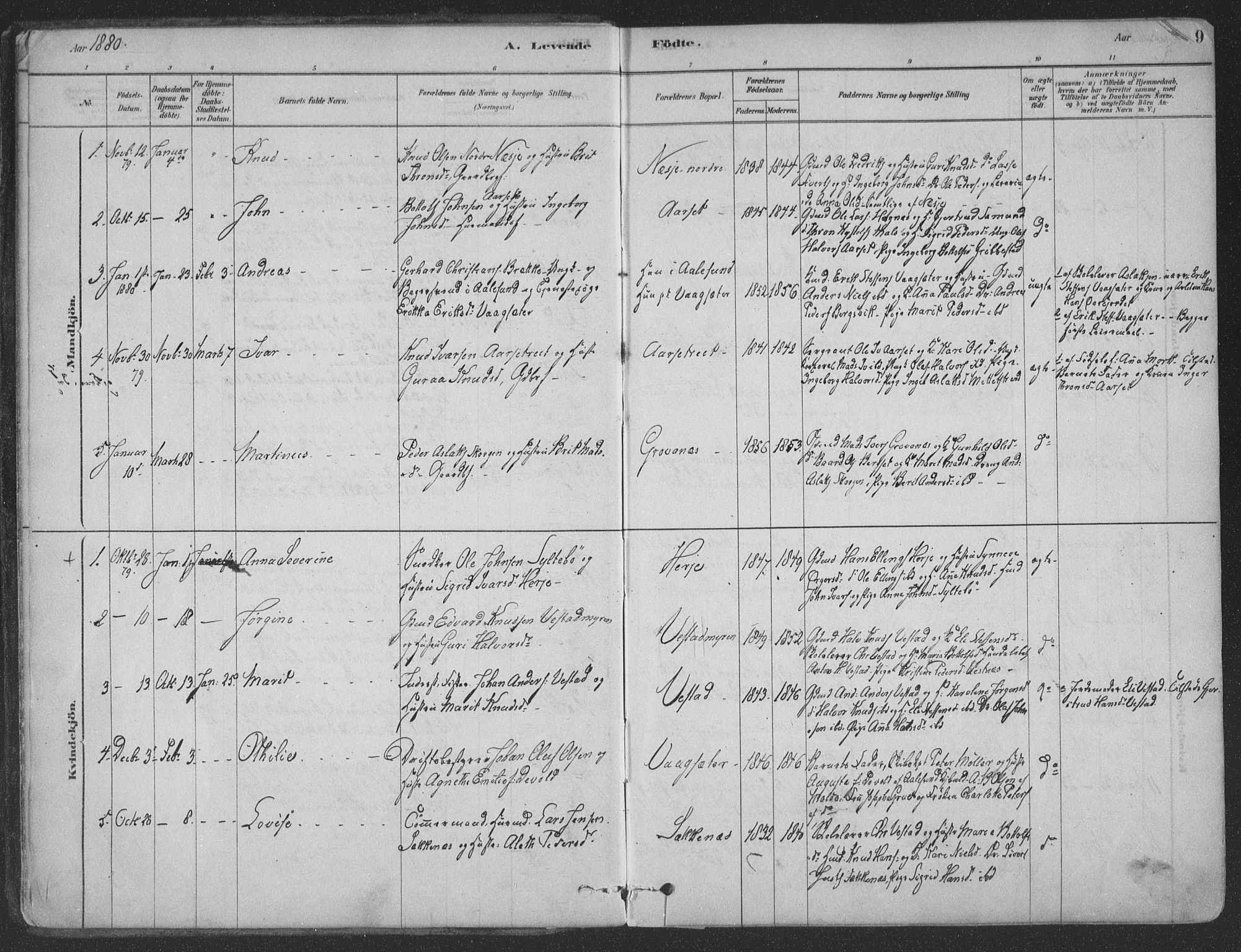 Ministerialprotokoller, klokkerbøker og fødselsregistre - Møre og Romsdal, SAT/A-1454/547/L0604: Parish register (official) no. 547A06, 1878-1906, p. 9