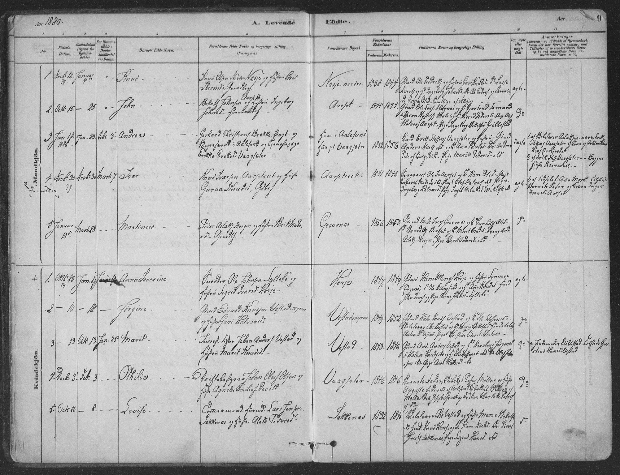 Ministerialprotokoller, klokkerbøker og fødselsregistre - Møre og Romsdal, AV/SAT-A-1454/547/L0604: Parish register (official) no. 547A06, 1878-1906, p. 9