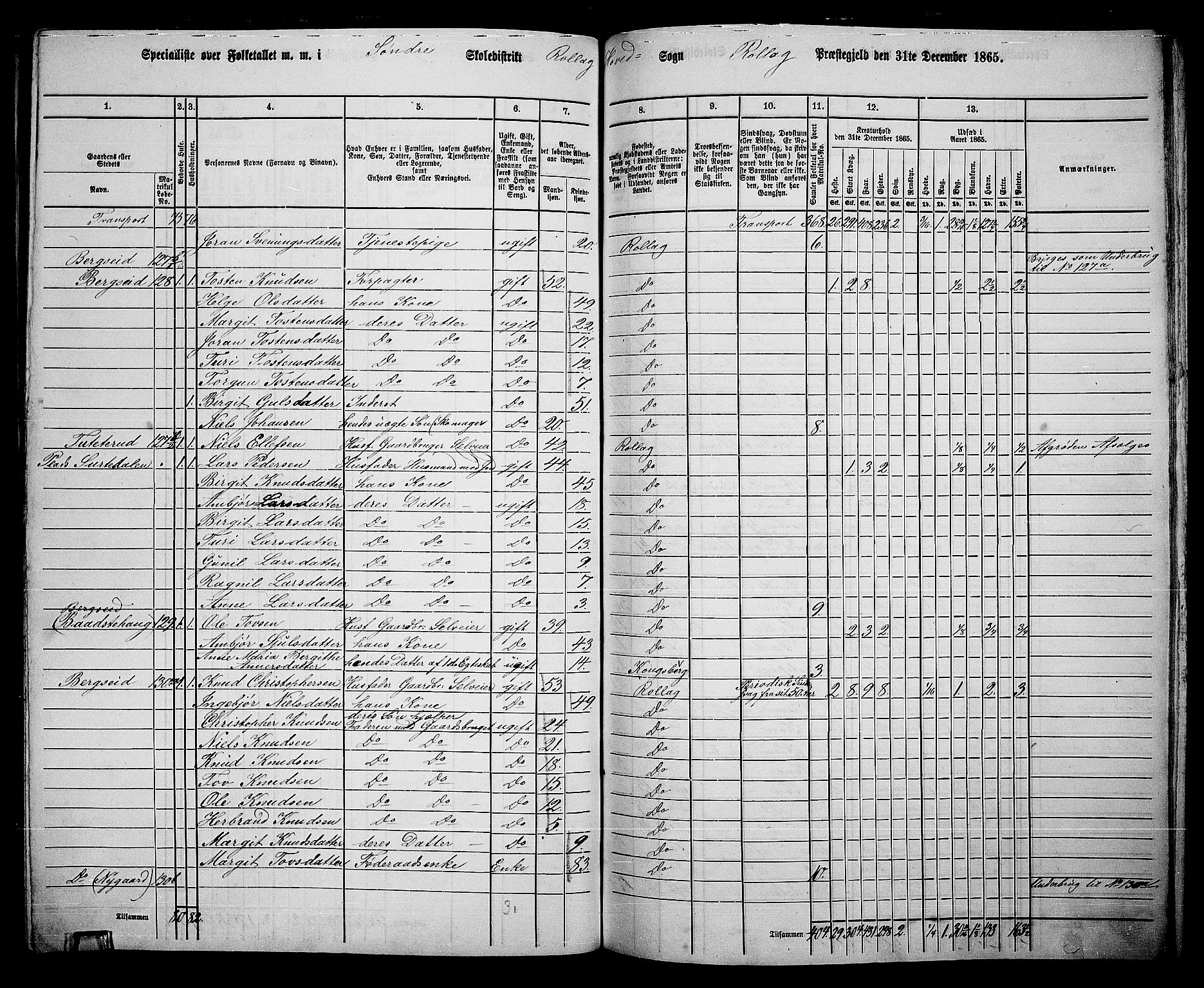 RA, 1865 census for Rollag, 1865, p. 21