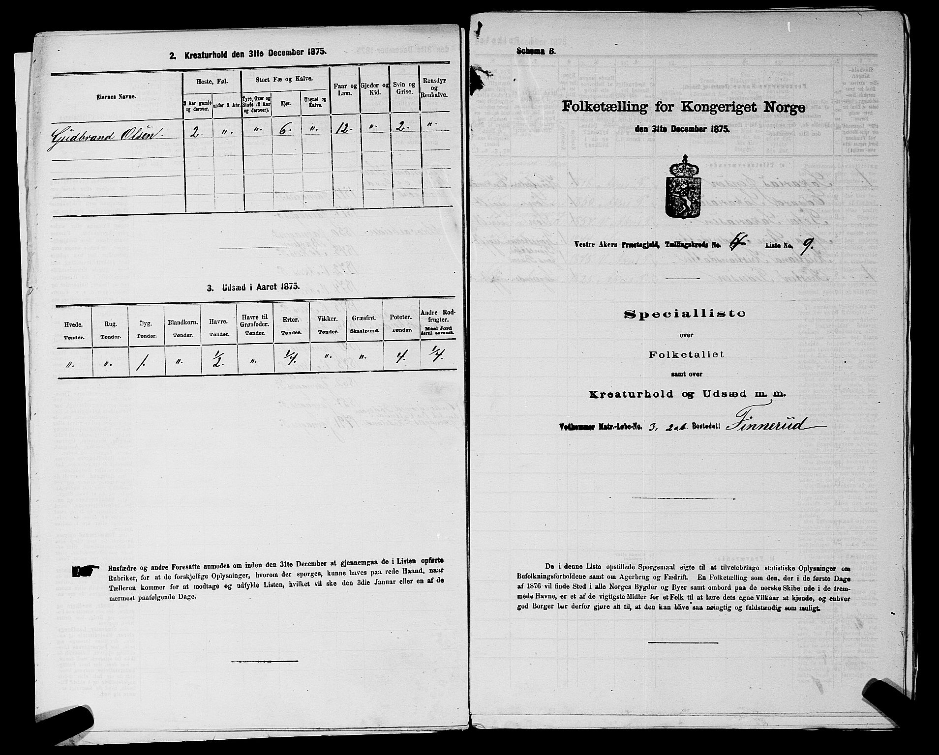 RA, 1875 census for 0218aP Vestre Aker, 1875, p. 816