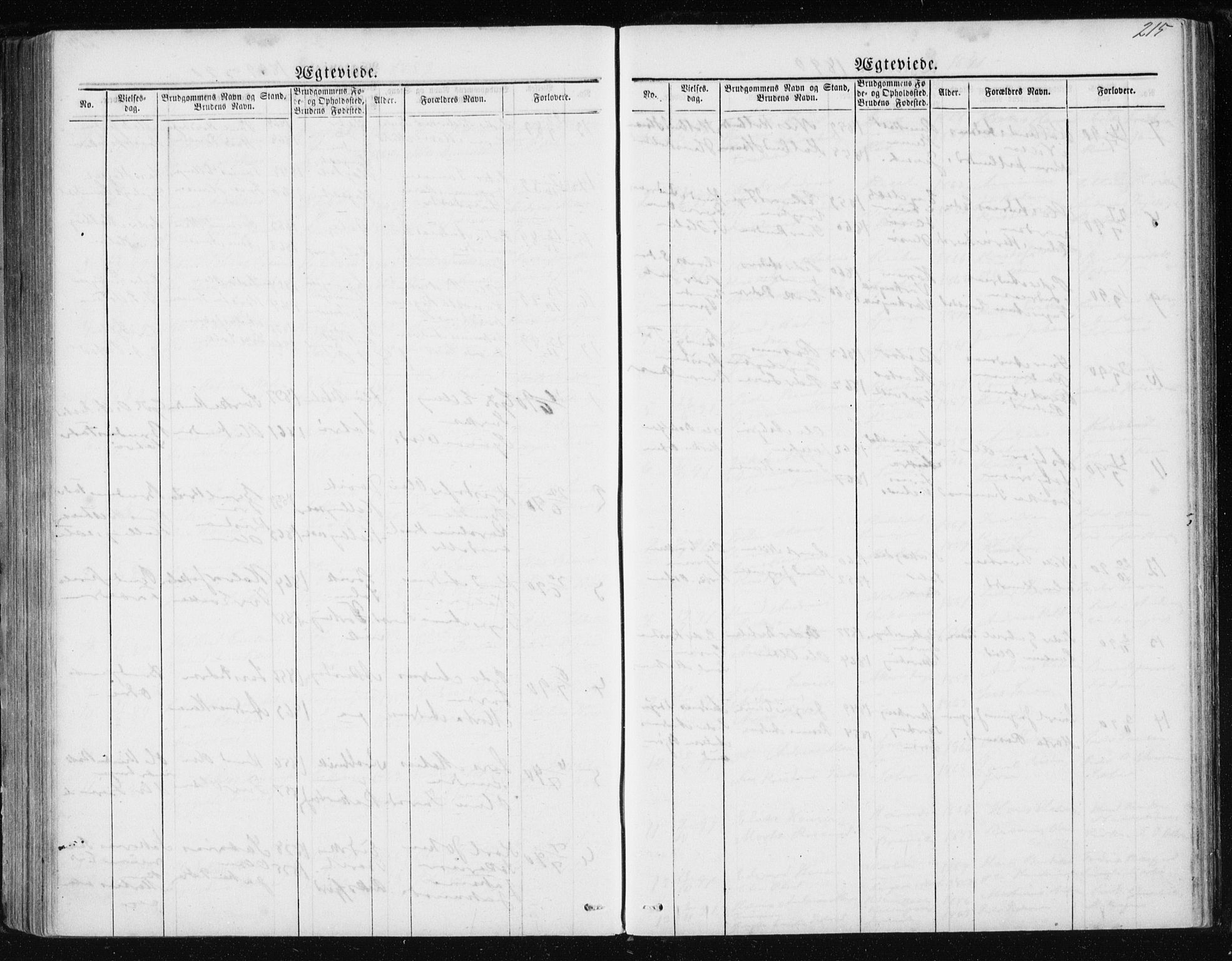 Ministerialprotokoller, klokkerbøker og fødselsregistre - Møre og Romsdal, AV/SAT-A-1454/560/L0724: Parish register (copy) no. 560C01, 1867-1892, p. 215