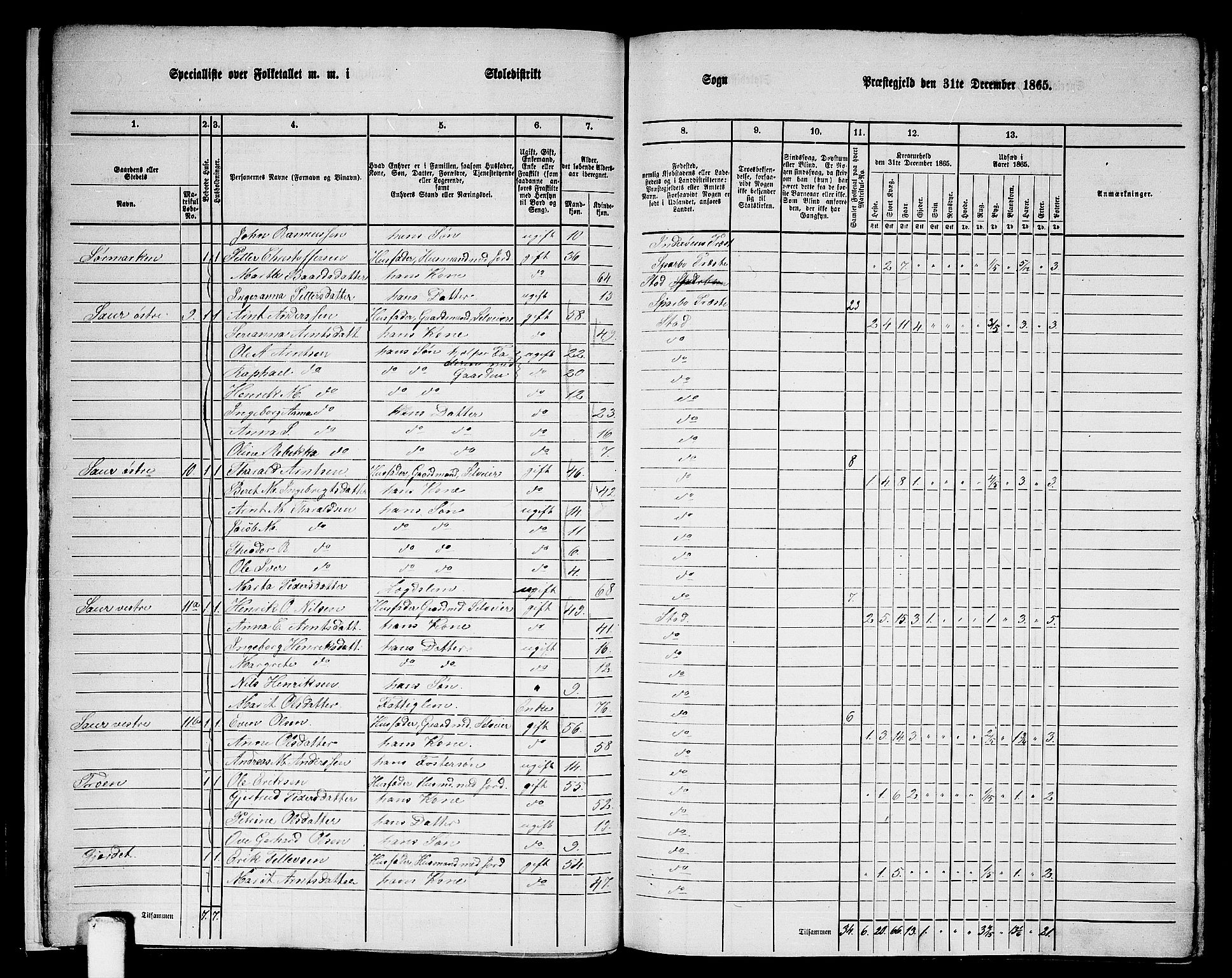 RA, 1865 census for Stod, 1865, p. 17