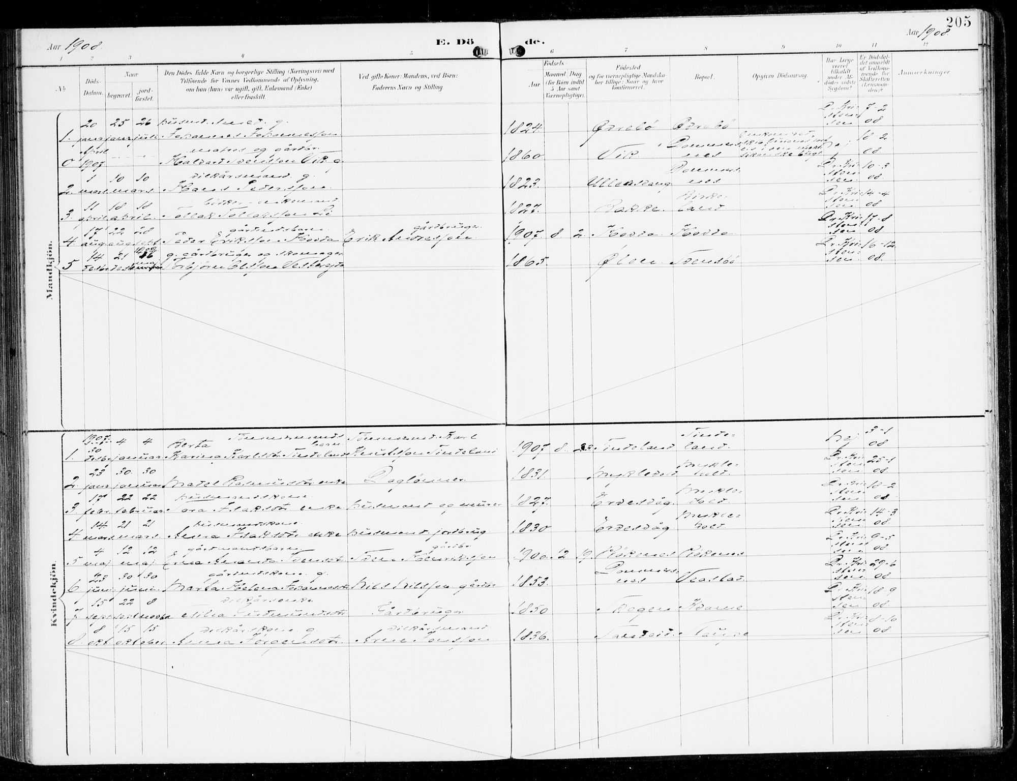 Sveio Sokneprestembete, AV/SAB-A-78501/H/Haa: Parish register (official) no. D 2, 1894-1916, p. 205