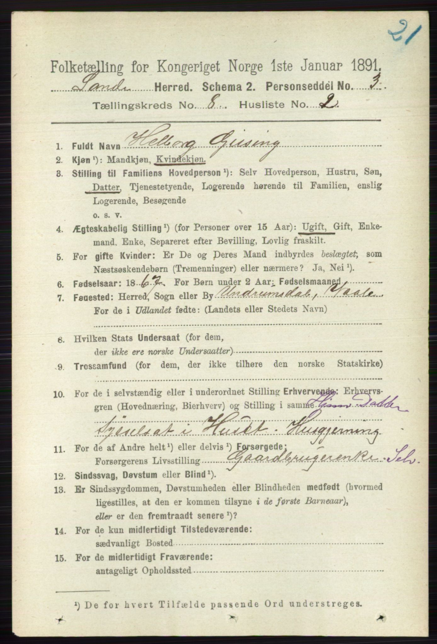 RA, 1891 census for 0713 Sande, 1891, p. 3535