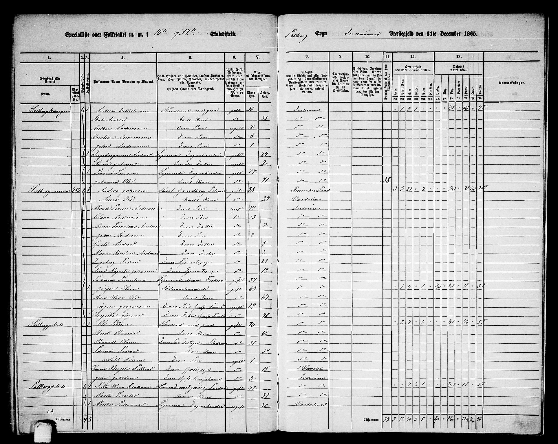 RA, 1865 census for Inderøy, 1865, p. 220