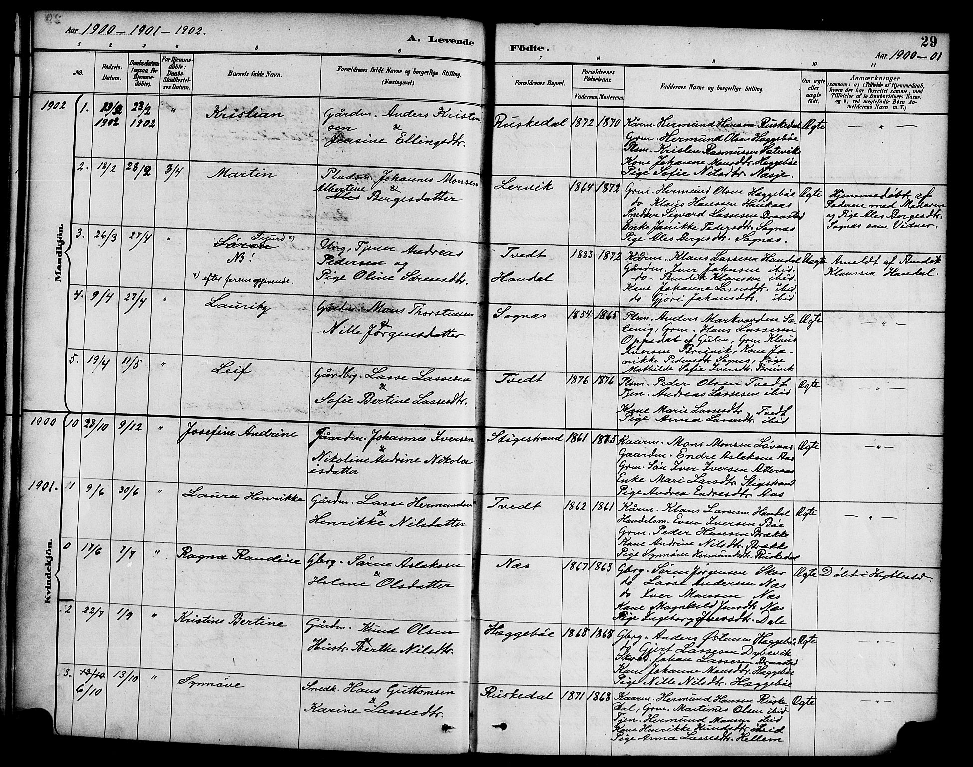 Hyllestad sokneprestembete, SAB/A-80401: Parish register (official) no. C 1, 1886-1904, p. 29