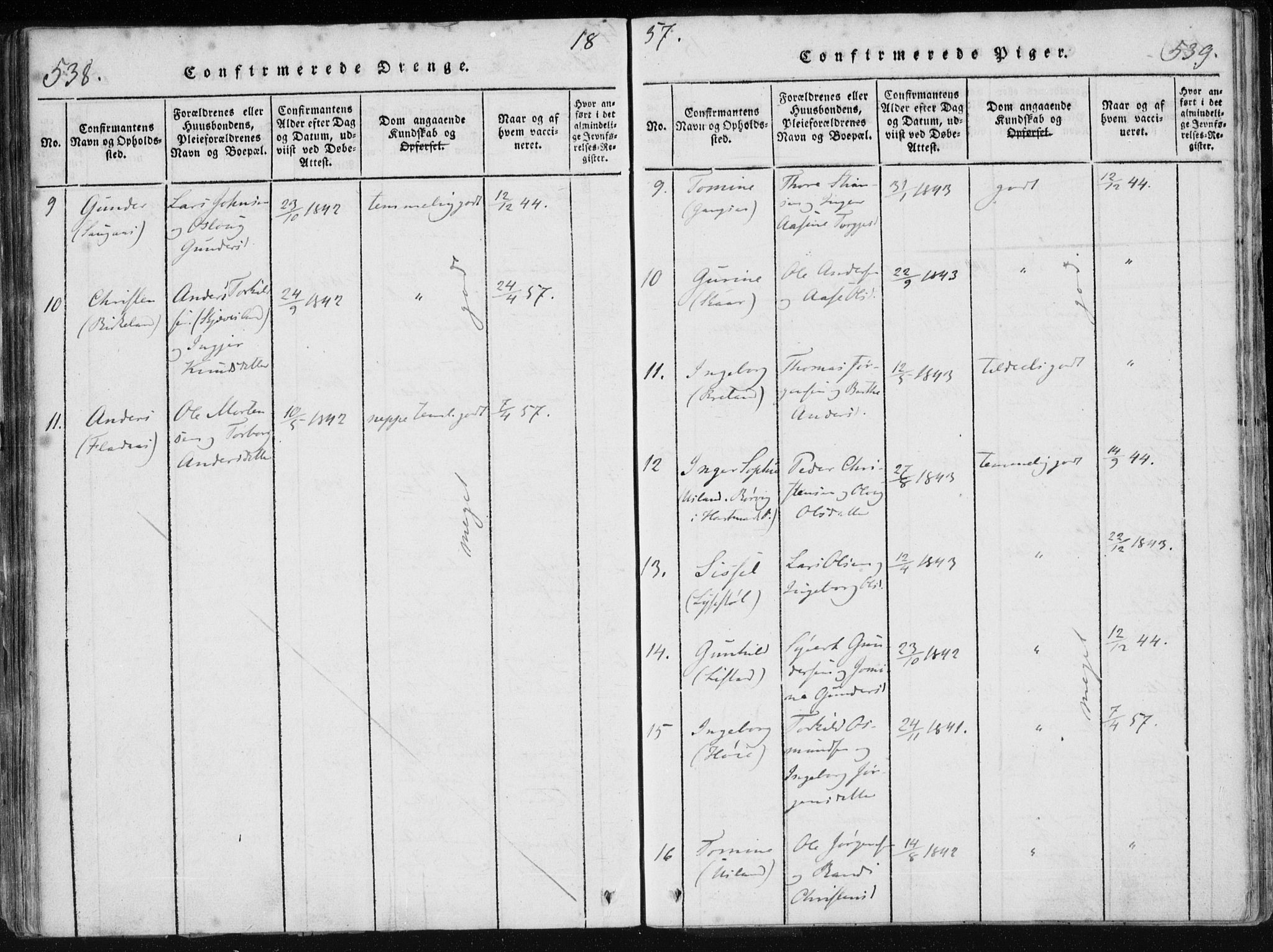 Holum sokneprestkontor, AV/SAK-1111-0022/F/Fa/Fac/L0002: Parish register (official) no. A 2, 1821-1859, p. 538-539