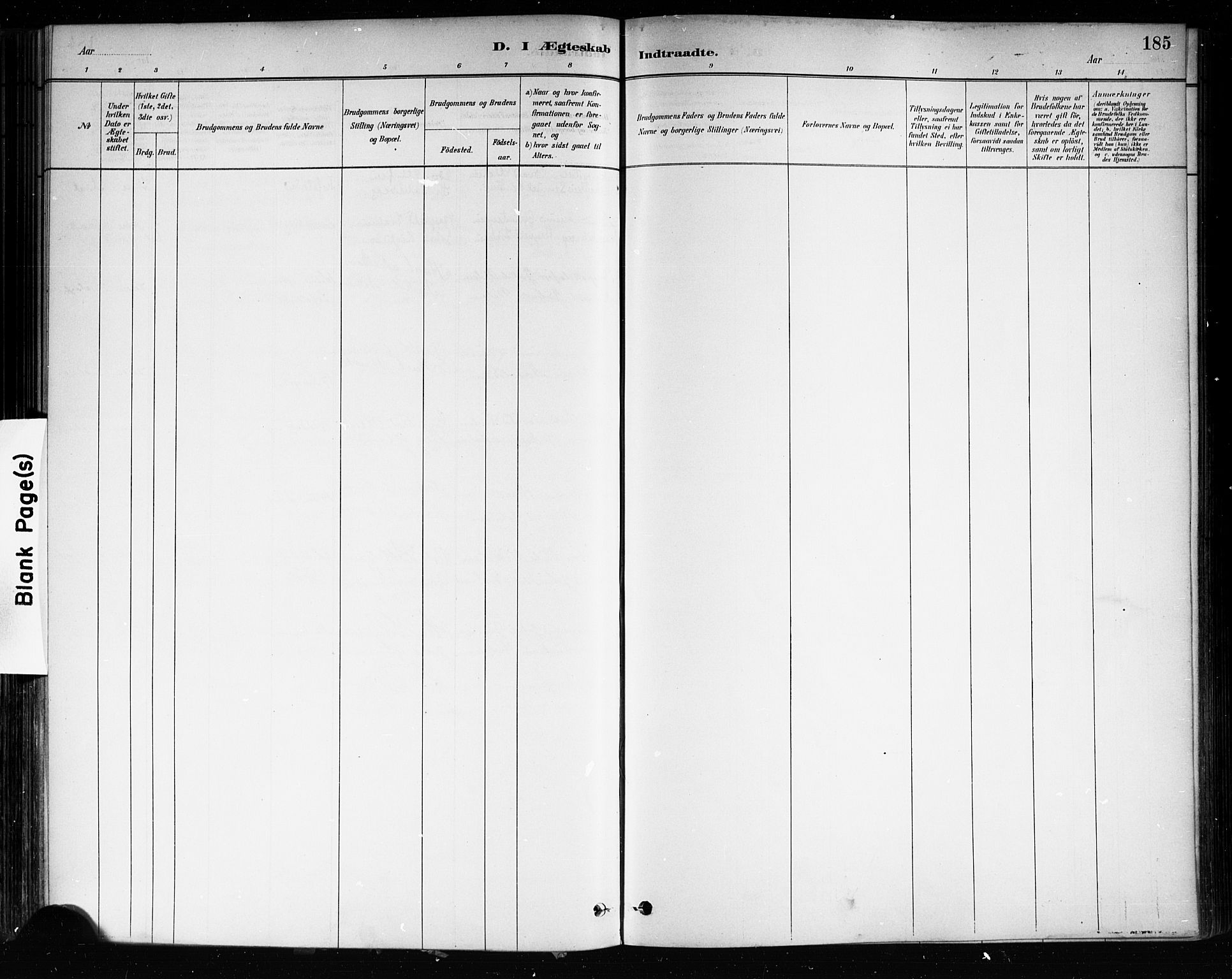 Brevik kirkebøker, AV/SAKO-A-255/F/Fa/L0007: Parish register (official) no. 7, 1882-1900, p. 185