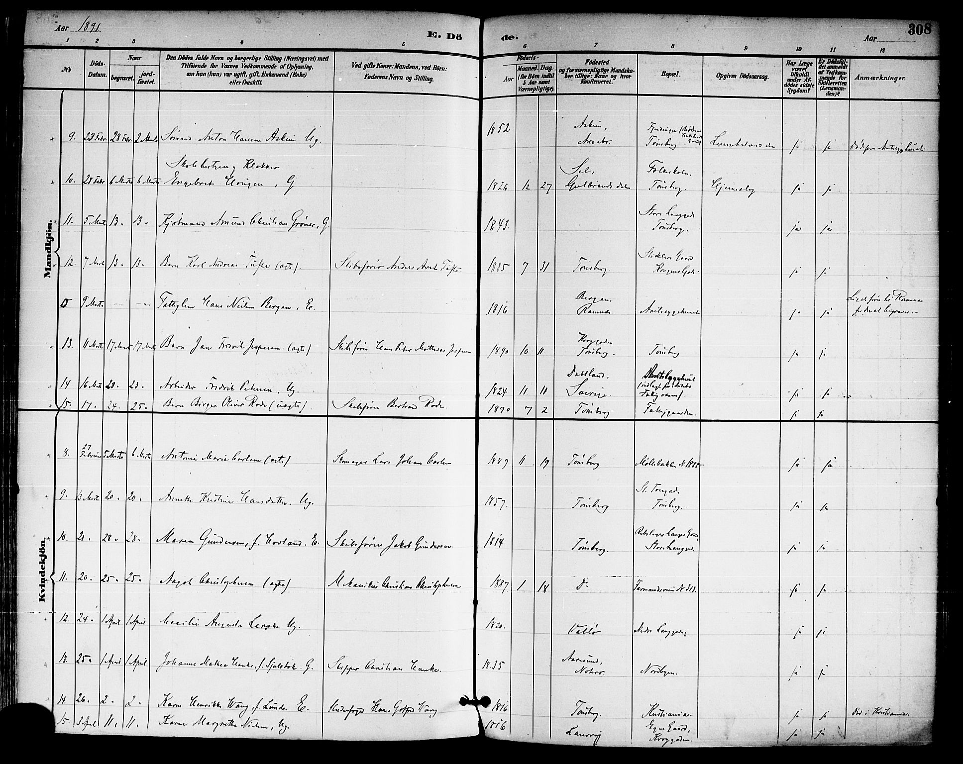 Tønsberg kirkebøker, AV/SAKO-A-330/F/Fa/L0012: Parish register (official) no. I 12, 1891-1899, p. 308