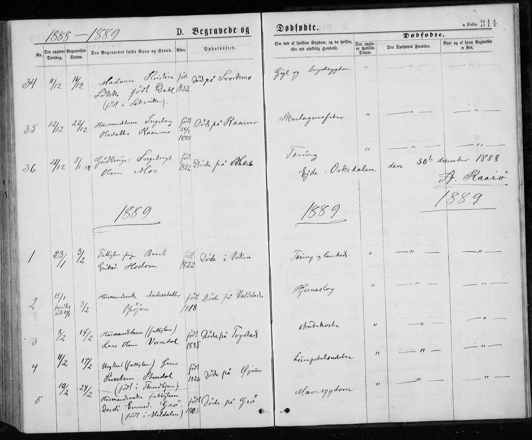 Ministerialprotokoller, klokkerbøker og fødselsregistre - Sør-Trøndelag, SAT/A-1456/671/L0843: Parish register (copy) no. 671C02, 1873-1892, p. 314