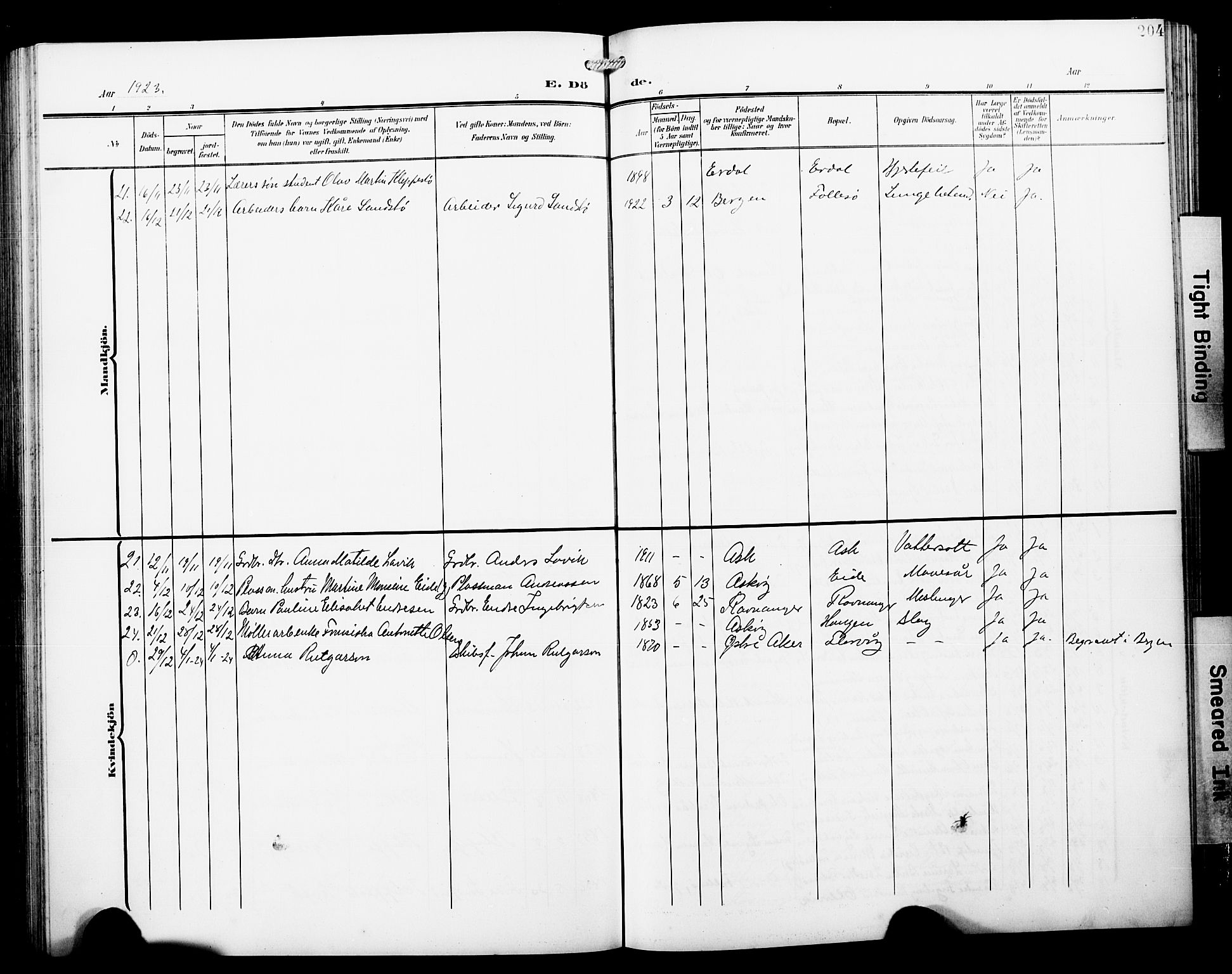 Askøy Sokneprestembete, AV/SAB-A-74101/H/Ha/Hab/Haba/L0014: Parish register (copy) no. A 14, 1904-1927, p. 204