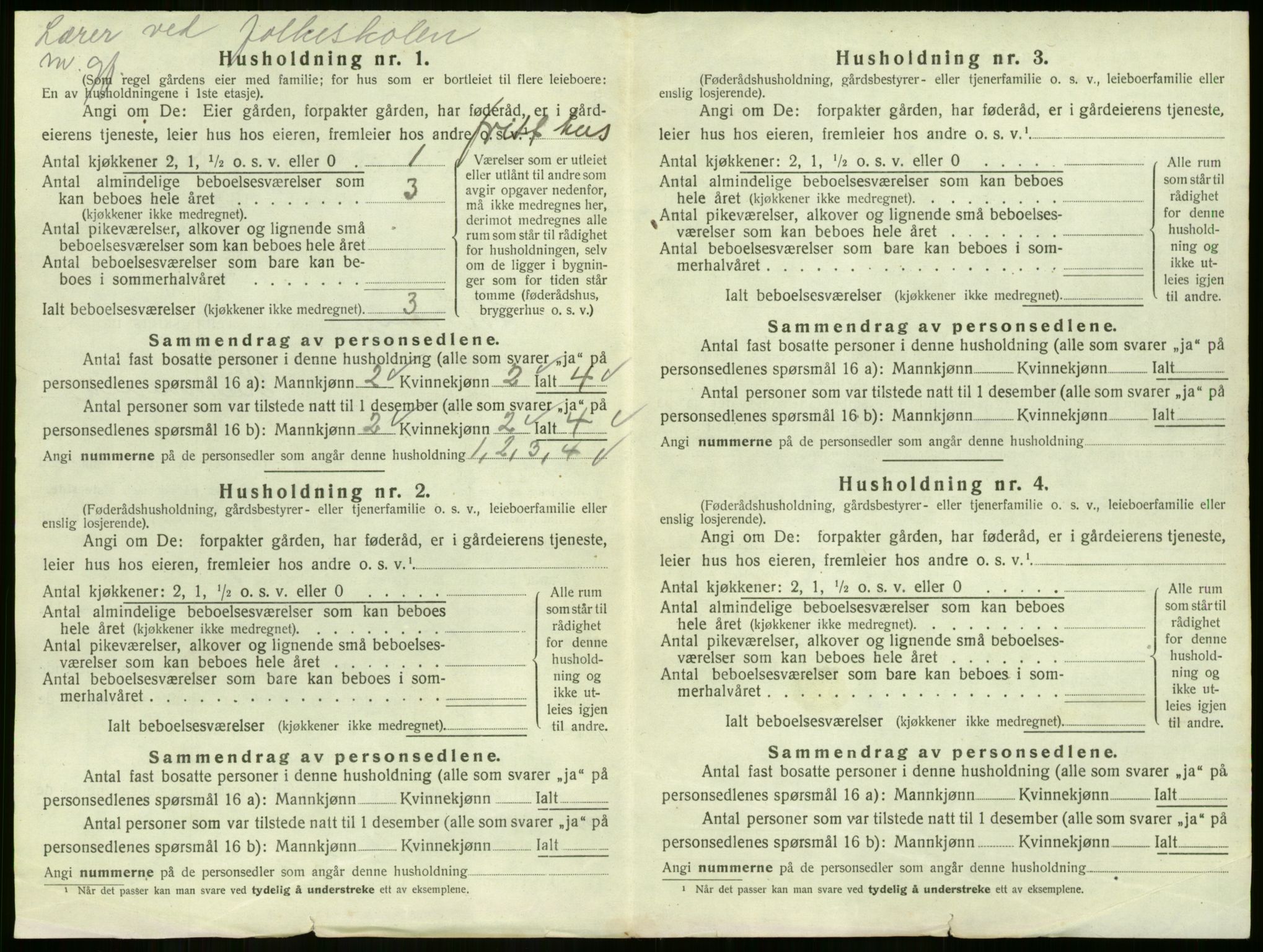 SAKO, 1920 census for Strømm, 1920, p. 568