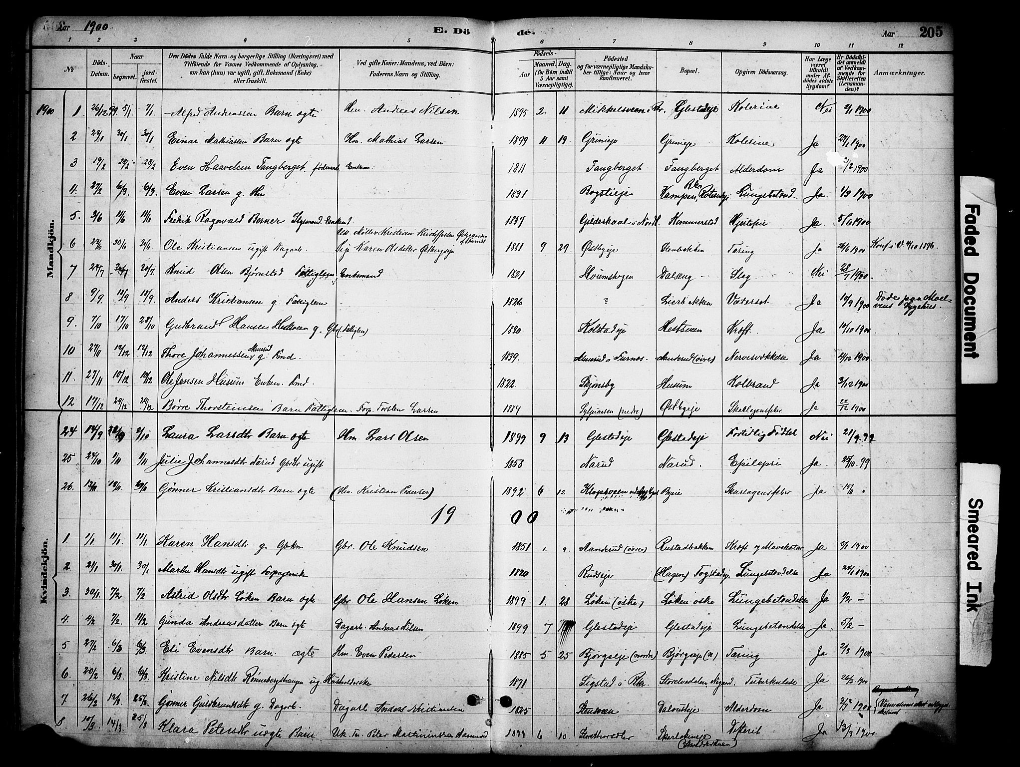 Ringsaker prestekontor, SAH/PREST-014/K/Ka/L0016: Parish register (official) no. 16, 1891-1904, p. 205