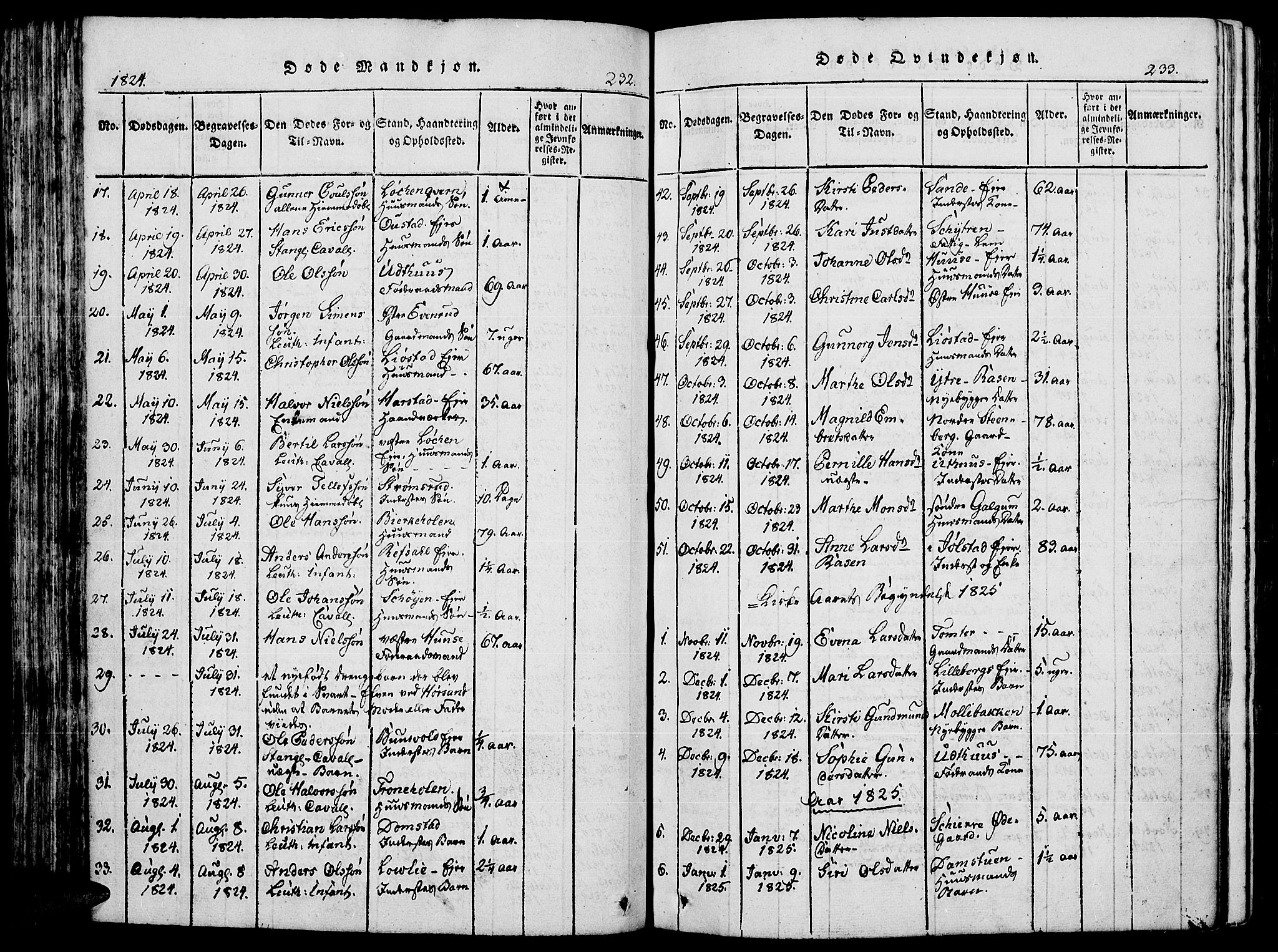 Romedal prestekontor, SAH/PREST-004/K/L0002: Parish register (official) no. 2, 1814-1828, p. 232-233