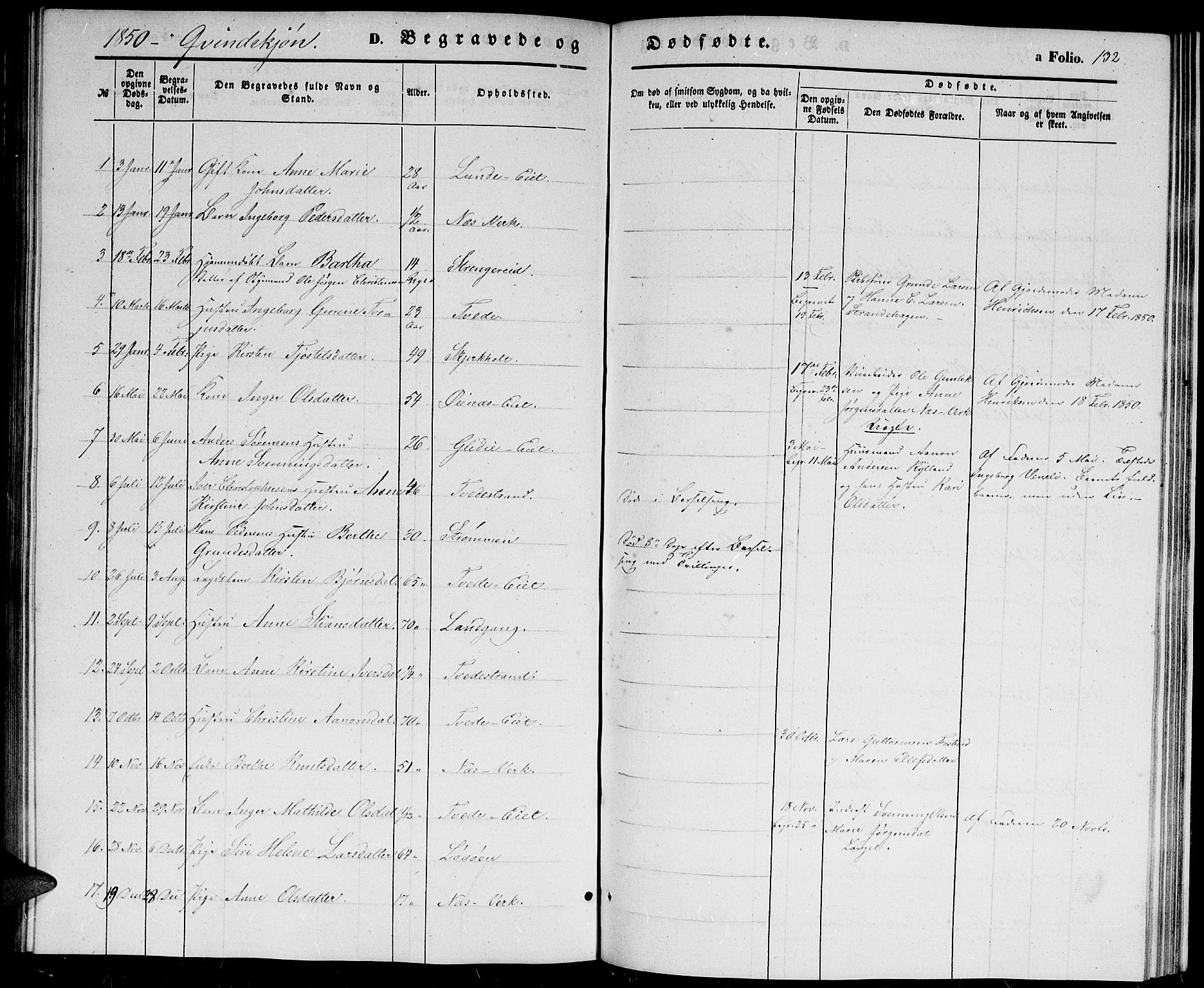 Holt sokneprestkontor, AV/SAK-1111-0021/F/Fb/L0007: Parish register (copy) no. B 7, 1849-1858, p. 132