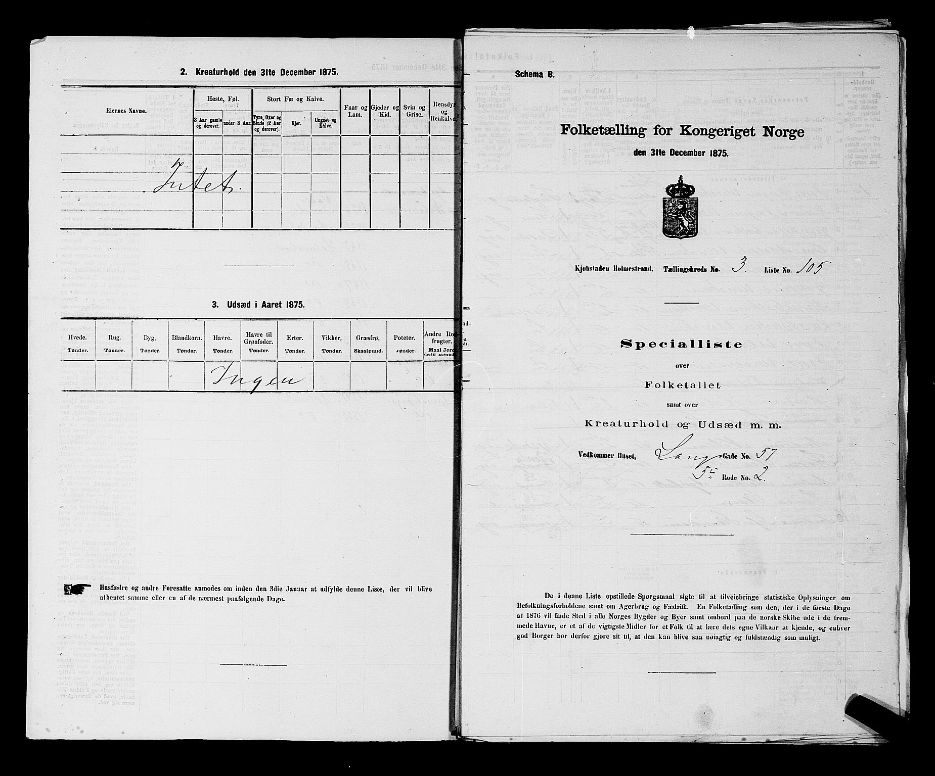 SAKO, 1875 census for 0702P Holmestrand, 1875, p. 245