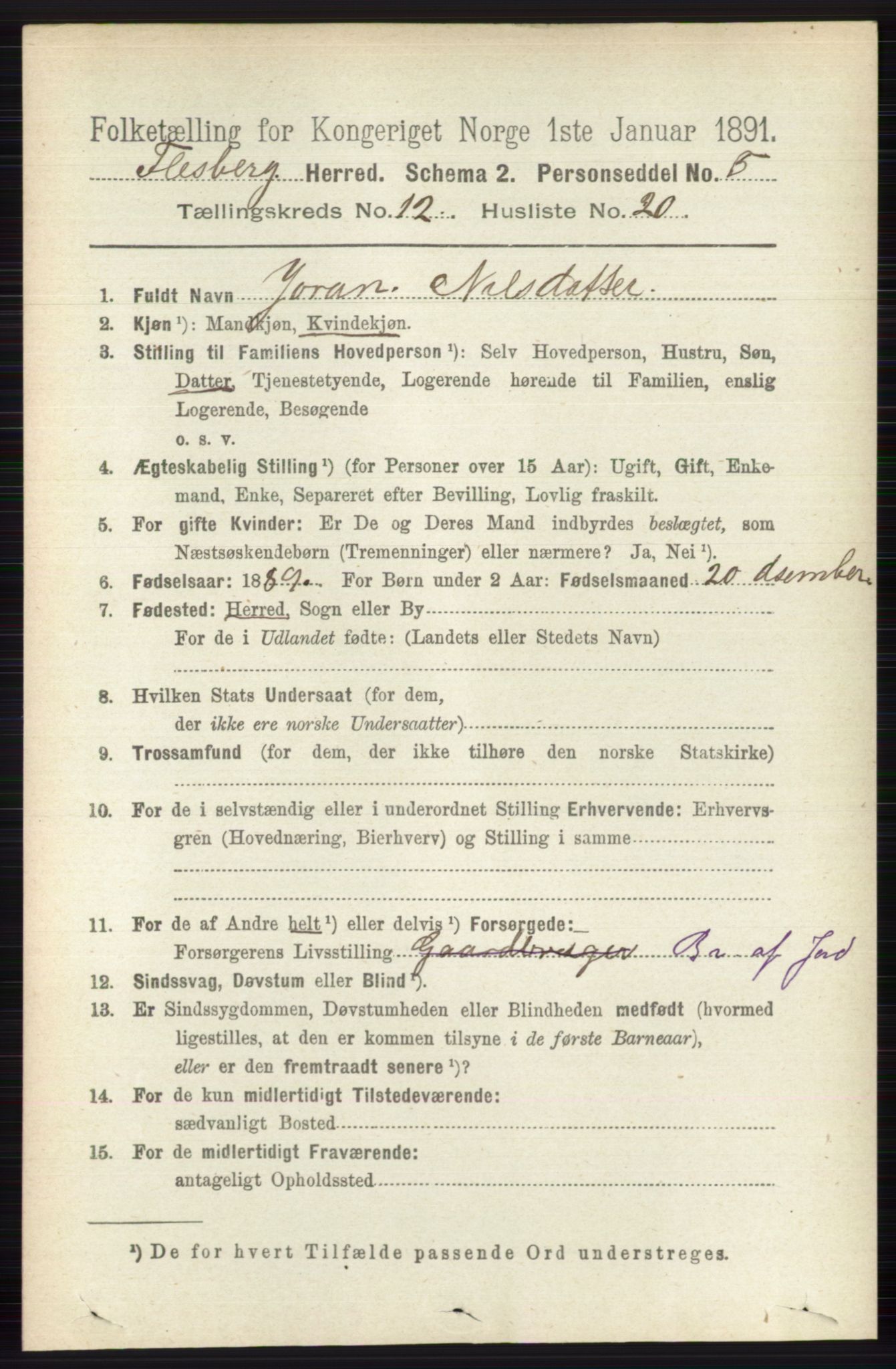 RA, 1891 census for 0631 Flesberg, 1891, p. 2177