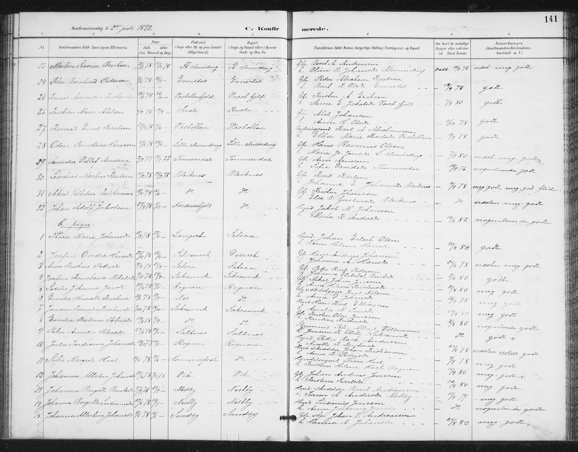 Ministerialprotokoller, klokkerbøker og fødselsregistre - Nordland, SAT/A-1459/847/L0682: Parish register (copy) no. 847C10, 1889-1907, p. 141
