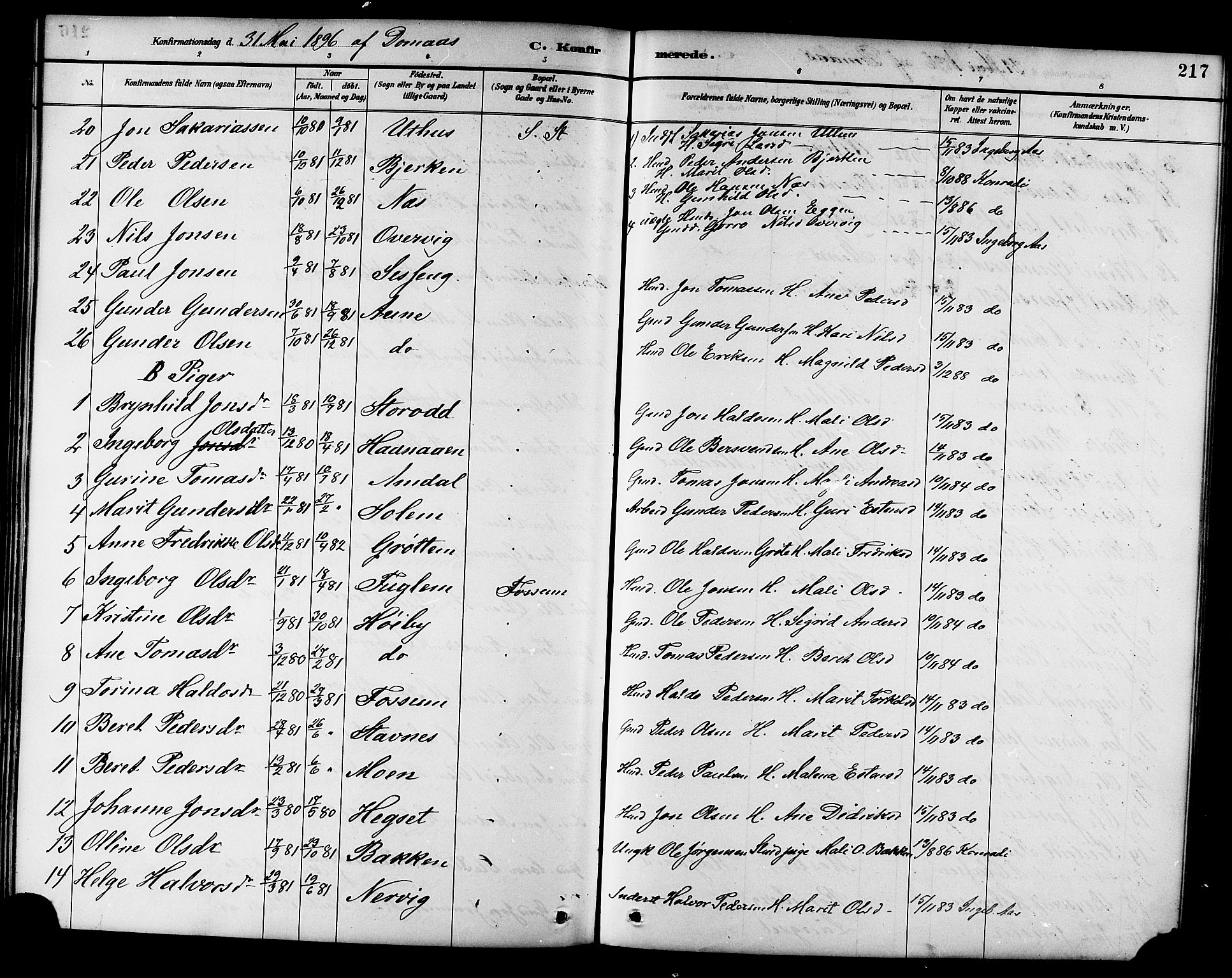 Ministerialprotokoller, klokkerbøker og fødselsregistre - Sør-Trøndelag, AV/SAT-A-1456/695/L1157: Parish register (copy) no. 695C08, 1889-1913, p. 217