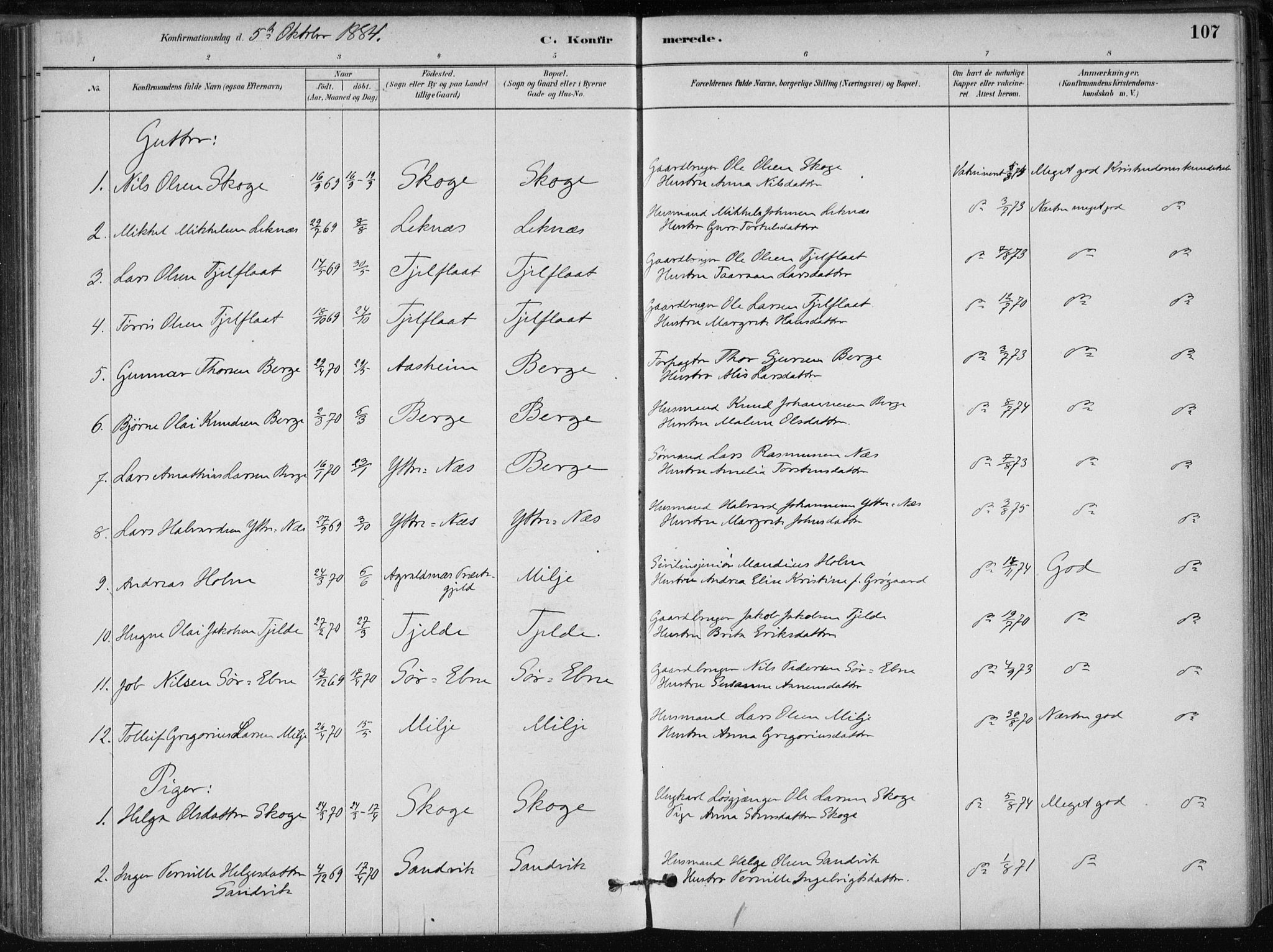 Skånevik sokneprestembete, SAB/A-77801/H/Haa: Parish register (official) no. B 1, 1879-1914, p. 107