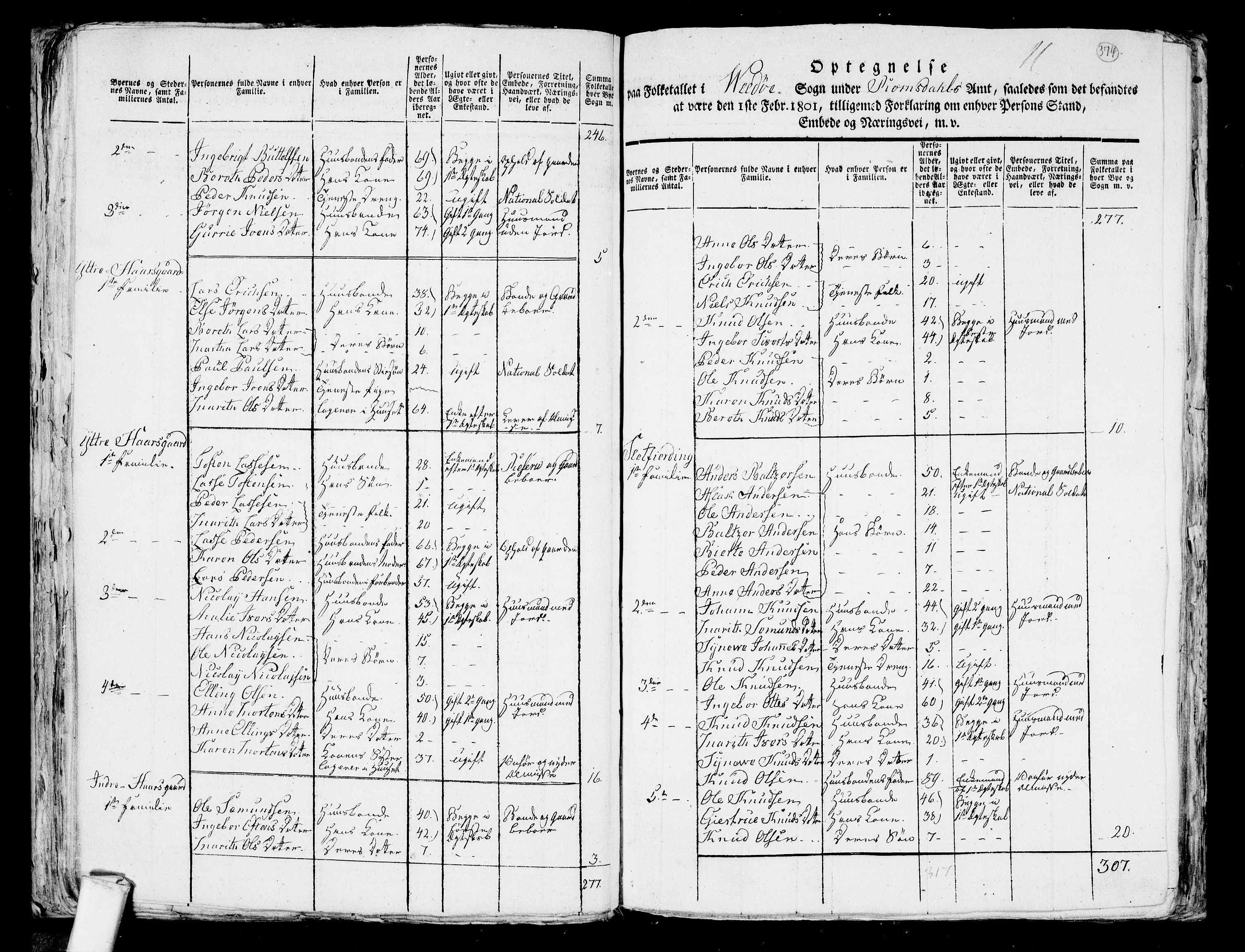 RA, 1801 census for 1541P Veøy, 1801, p. 373b-374a