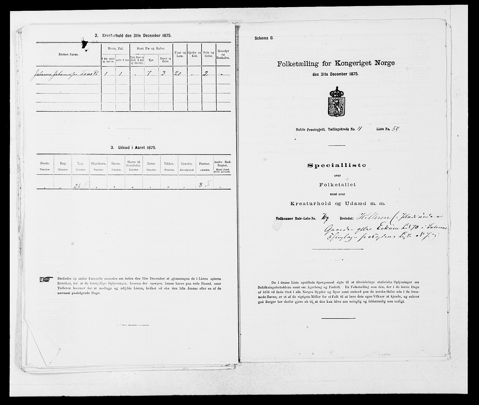 SAB, 1875 census for 1425P Hafslo, 1875, p. 552