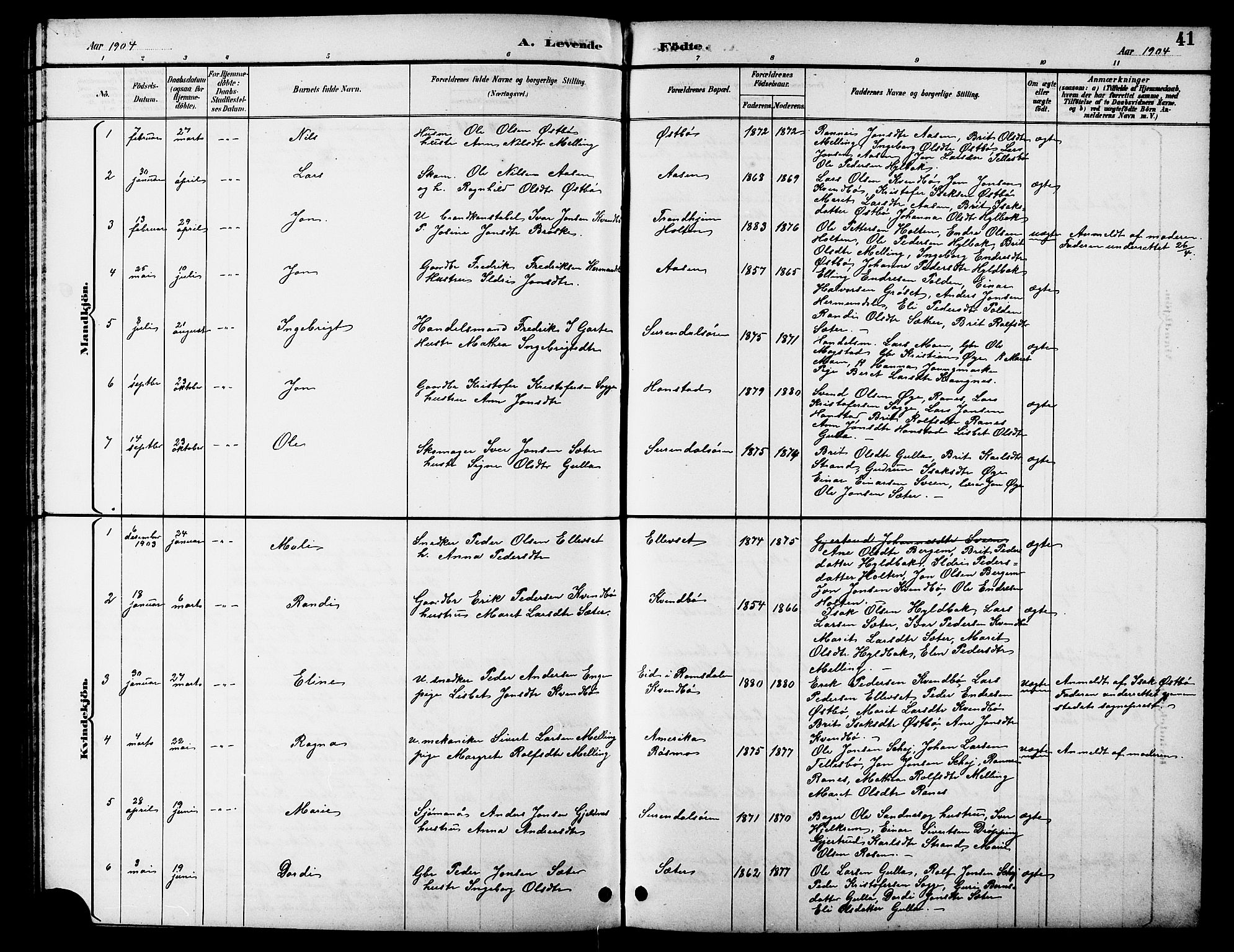 Ministerialprotokoller, klokkerbøker og fødselsregistre - Møre og Romsdal, AV/SAT-A-1454/596/L1058: Parish register (copy) no. 596C01, 1891-1907, p. 41