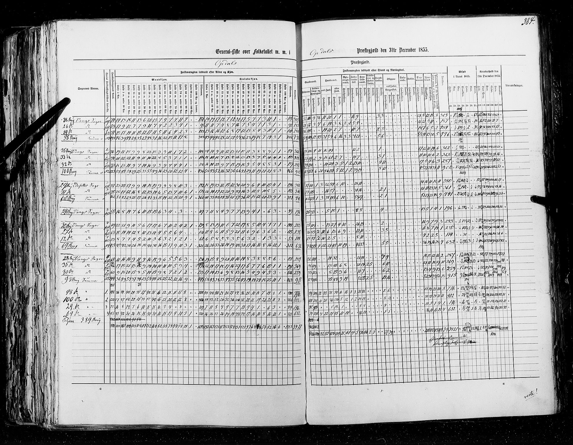 RA, Census 1855, vol. 5: Nordre Bergenhus amt, Romsdal amt og Søndre Trondhjem amt, 1855, p. 384