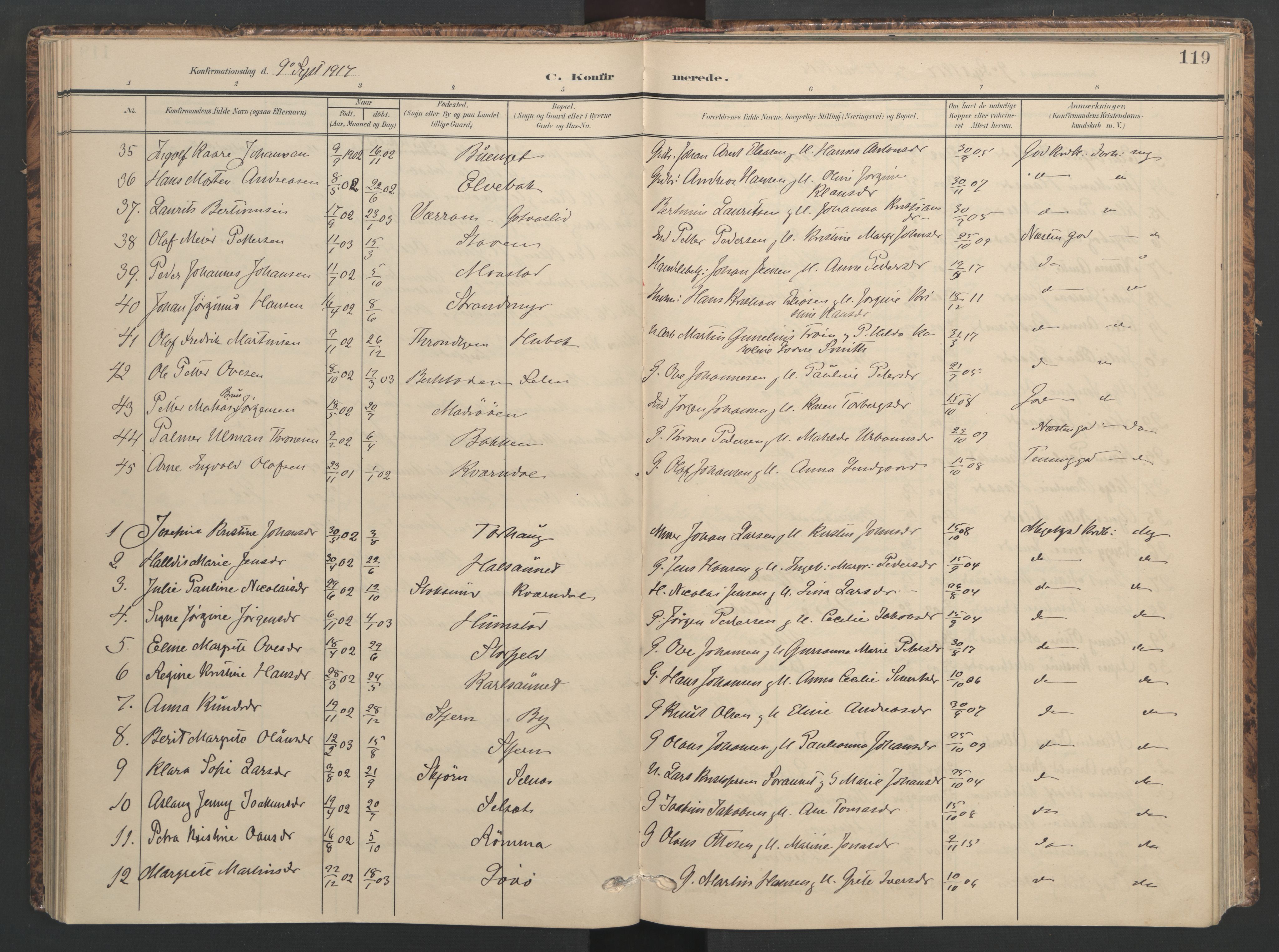 Ministerialprotokoller, klokkerbøker og fødselsregistre - Sør-Trøndelag, AV/SAT-A-1456/655/L0682: Parish register (official) no. 655A11, 1908-1922, p. 119
