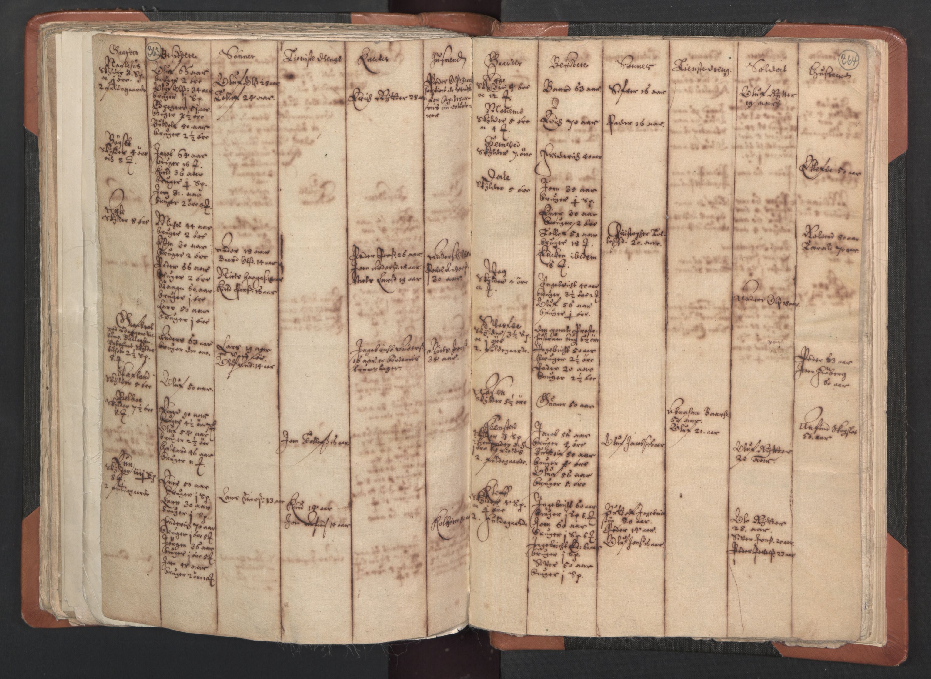 RA, Vicar's Census 1664-1666, no. 33: Innherad deanery, 1664-1666, p. 363-364