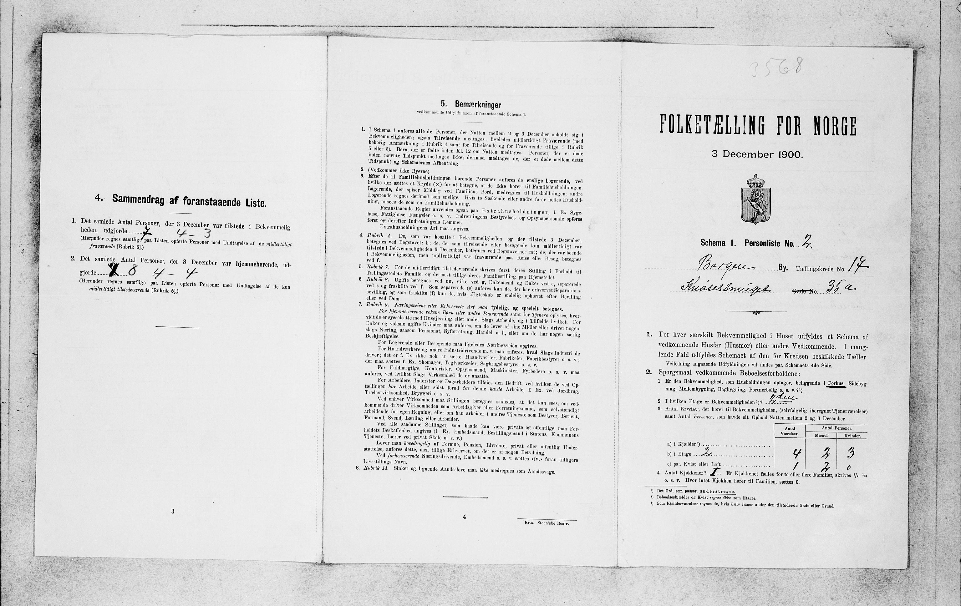 SAB, 1900 census for Bergen, 1900, p. 3376