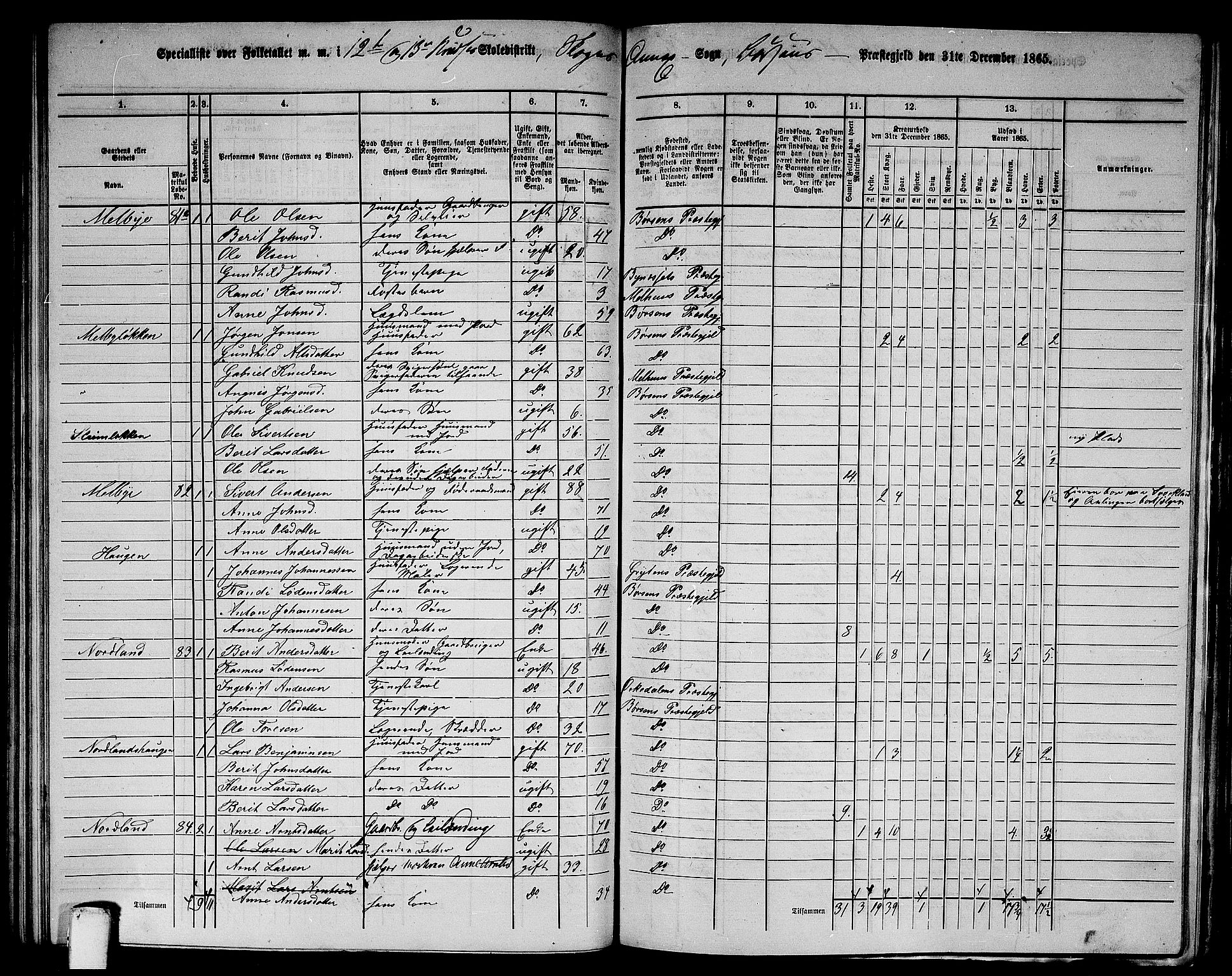 RA, 1865 census for Børsa, 1865, p. 142