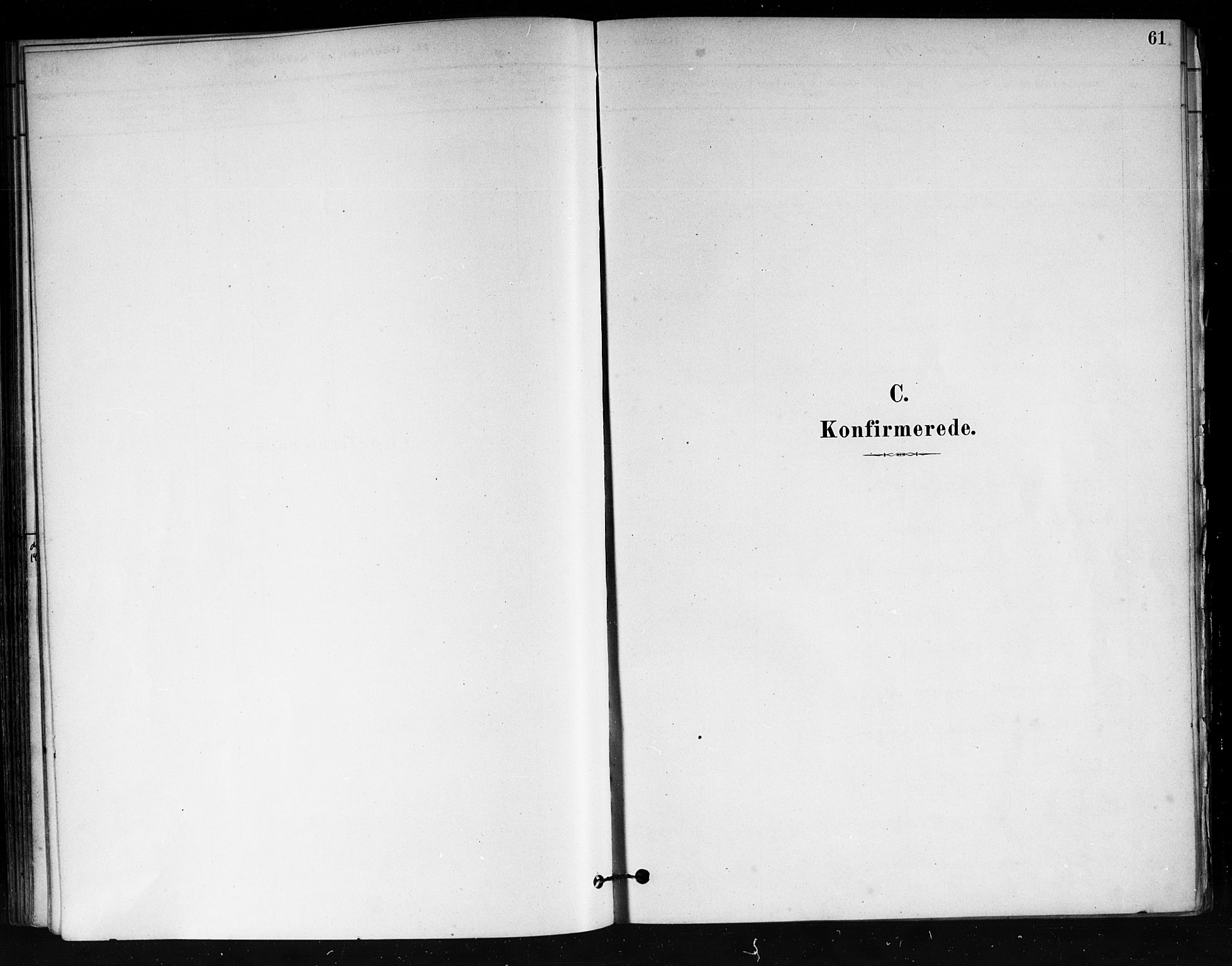 Tjøme kirkebøker, SAKO/A-328/F/Fa/L0001: Parish register (official) no. 1, 1879-1890, p. 61