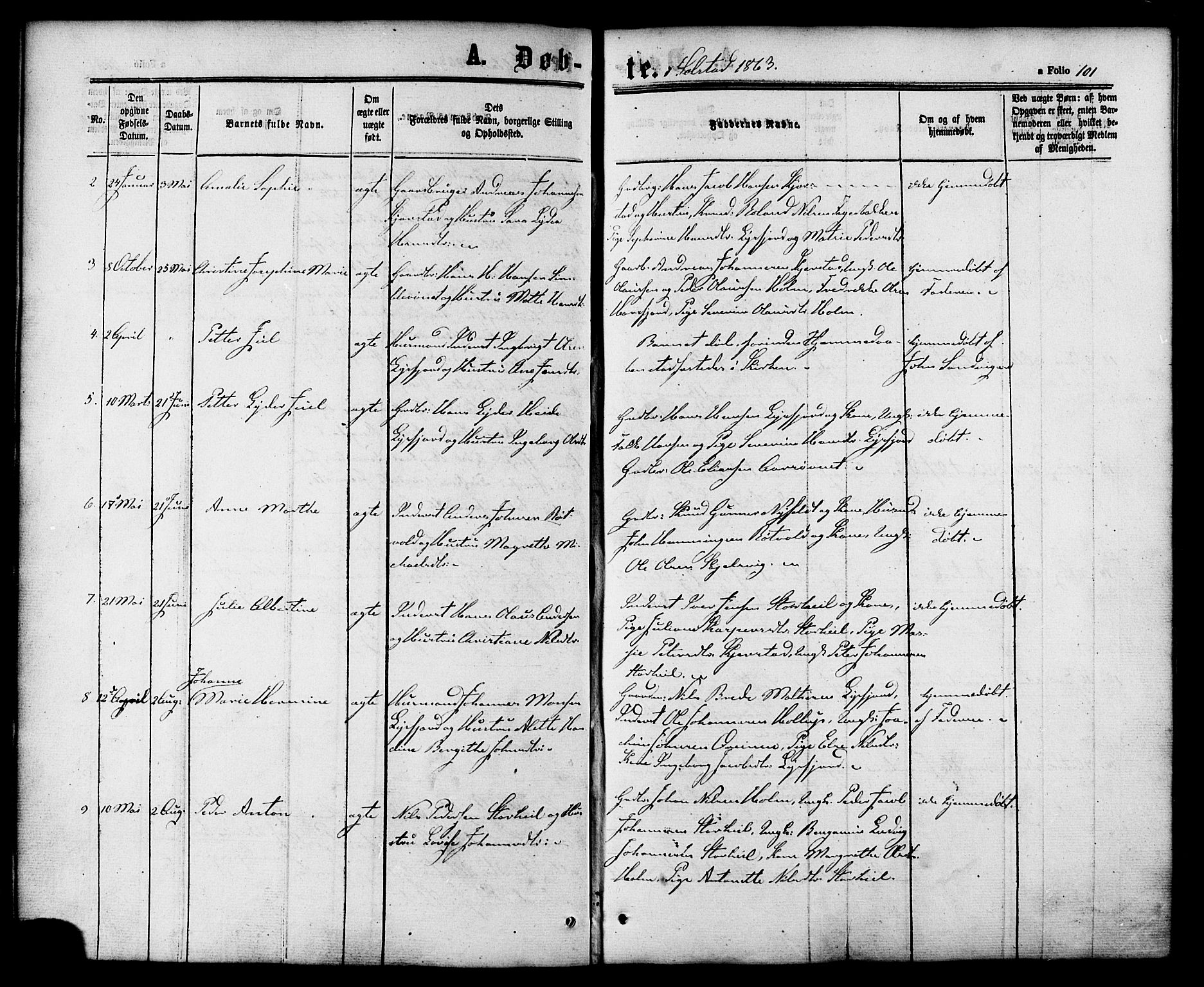 Ministerialprotokoller, klokkerbøker og fødselsregistre - Nordland, AV/SAT-A-1459/810/L0147: Parish register (official) no. 810A08 /2, 1862-1874, p. 101