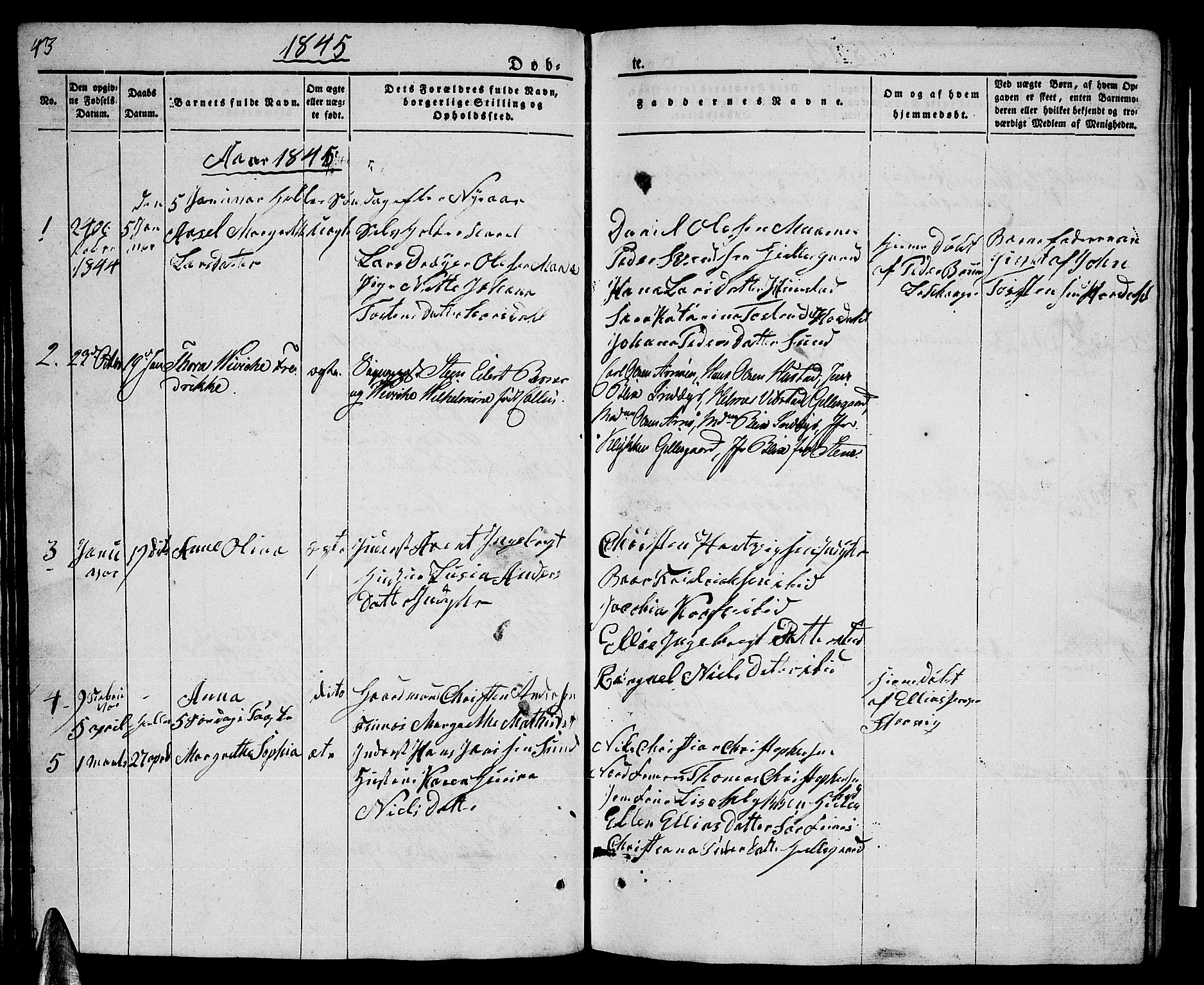 Ministerialprotokoller, klokkerbøker og fødselsregistre - Nordland, SAT/A-1459/805/L0106: Parish register (copy) no. 805C02, 1841-1861, p. 43