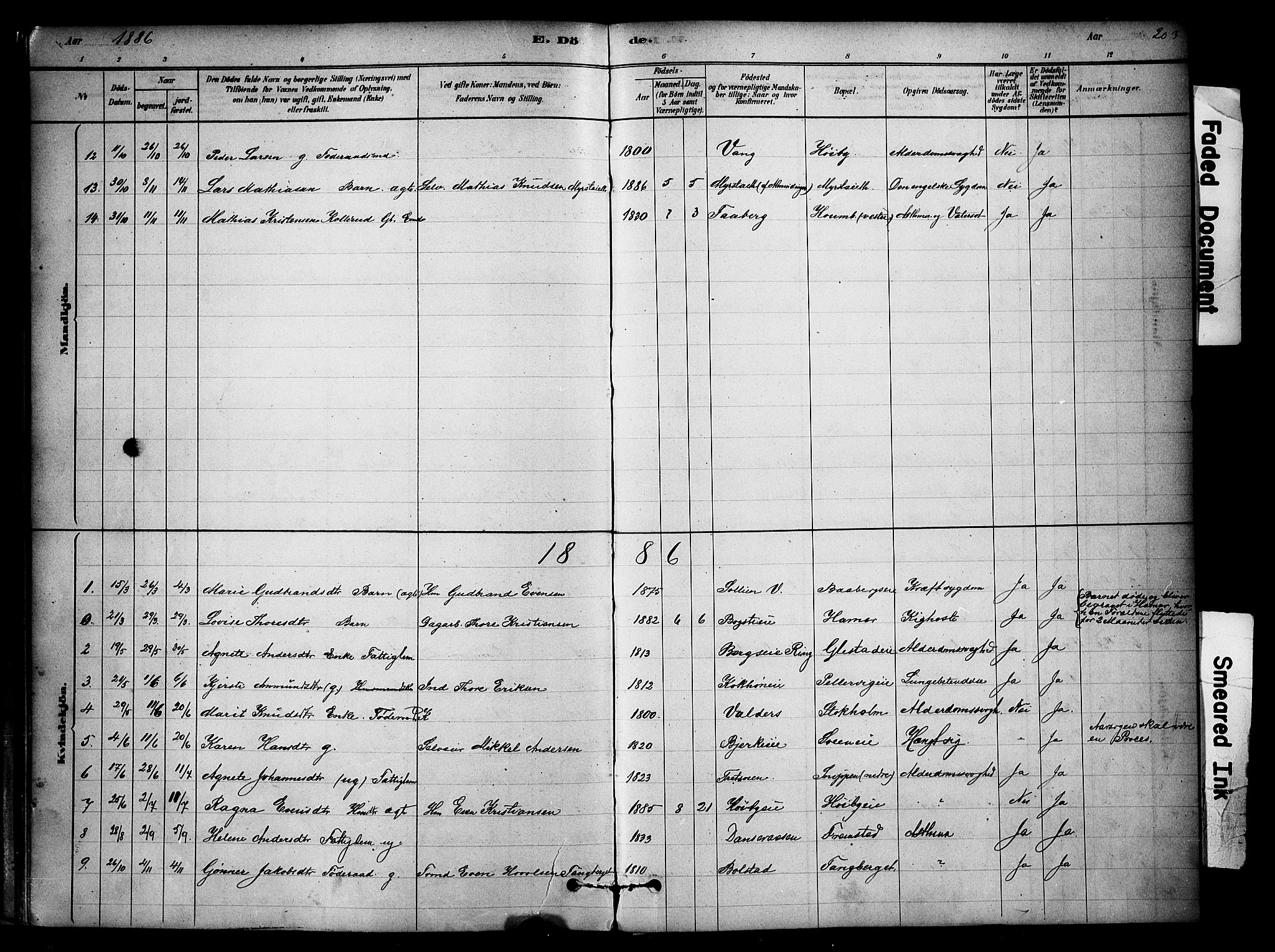 Ringsaker prestekontor, SAH/PREST-014/K/Ka/L0014: Parish register (official) no. 14, 1879-1890, p. 203