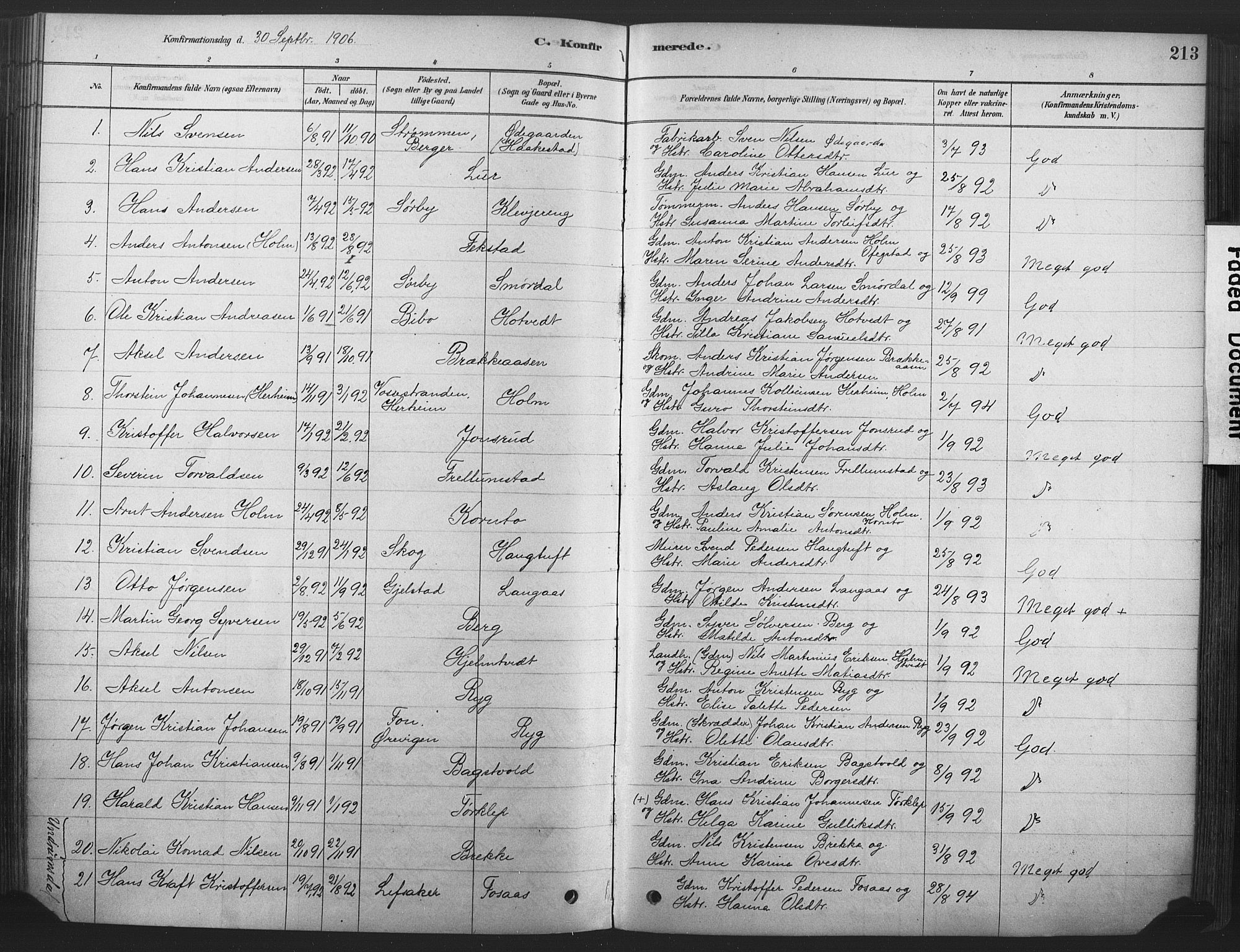 Våle kirkebøker, AV/SAKO-A-334/F/Fa/L0011: Parish register (official) no. I 11, 1878-1906, p. 213