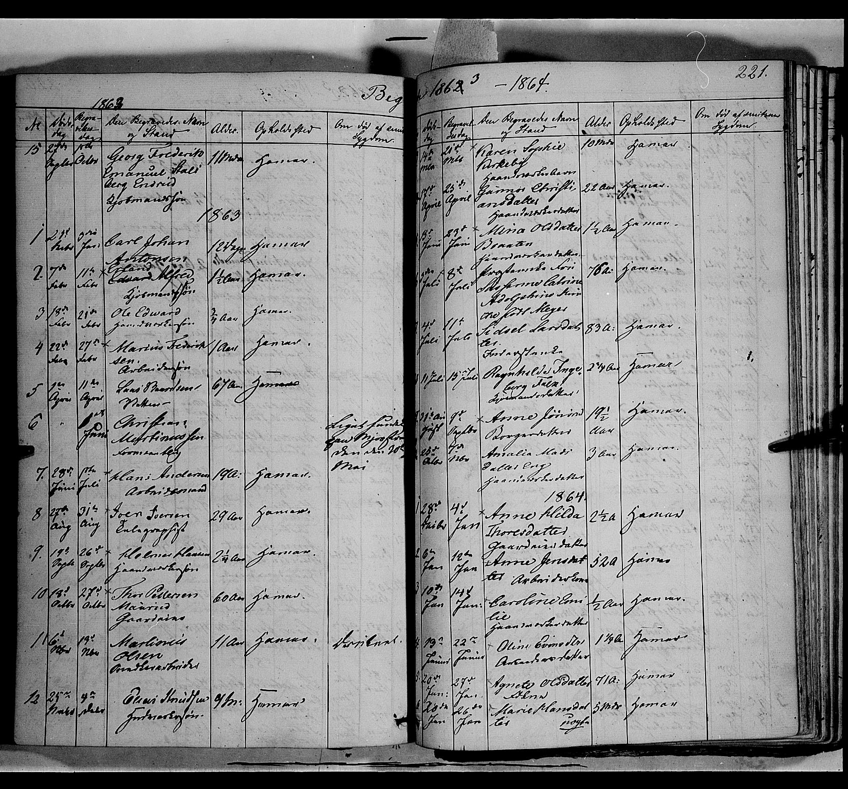 Vang prestekontor, Hedmark, SAH/PREST-008/H/Ha/Haa/L0011: Parish register (official) no. 11, 1852-1877, p. 221