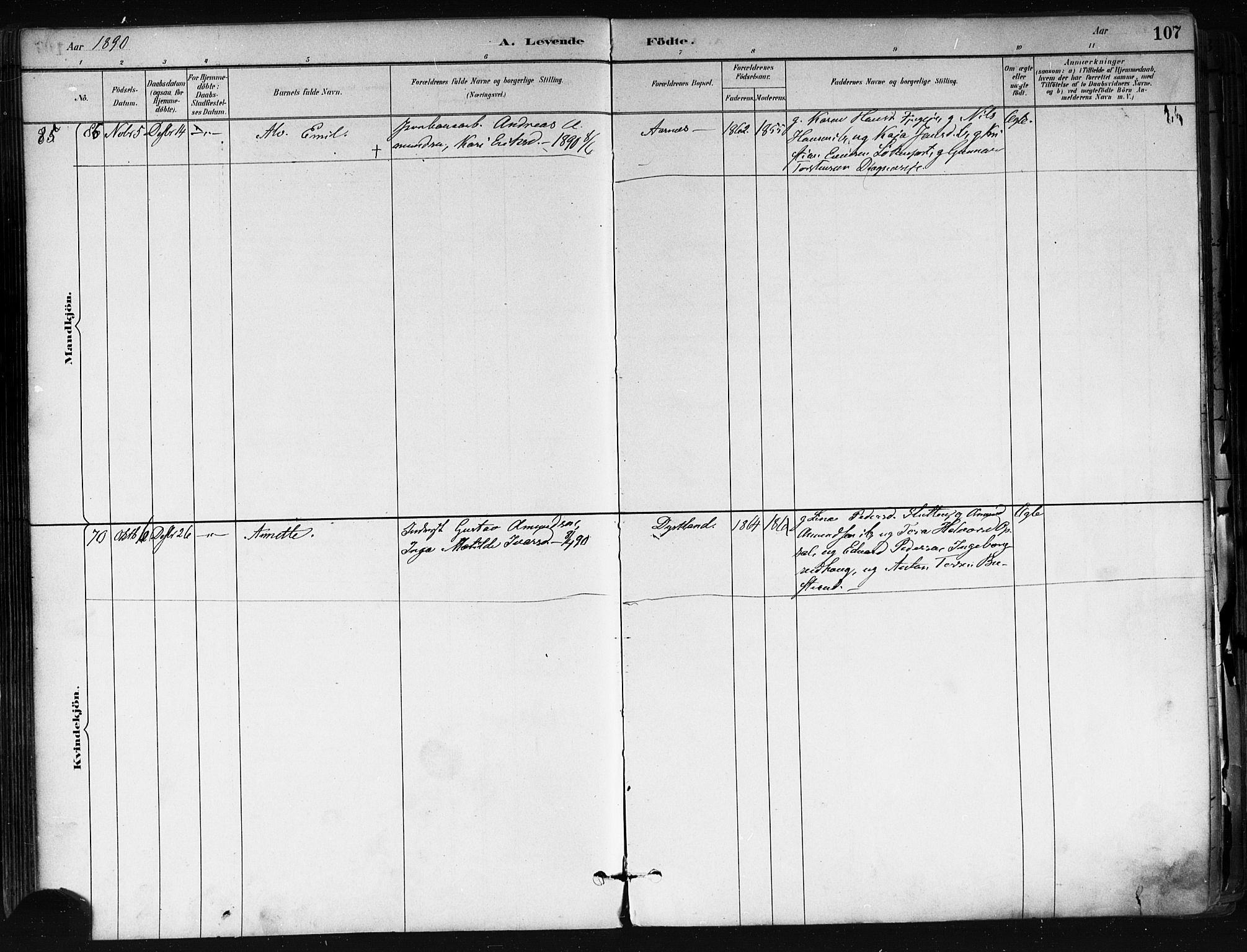 Nes prestekontor Kirkebøker, AV/SAO-A-10410/F/Fa/L0010: Parish register (official) no. I 10, 1883-1898, p. 107