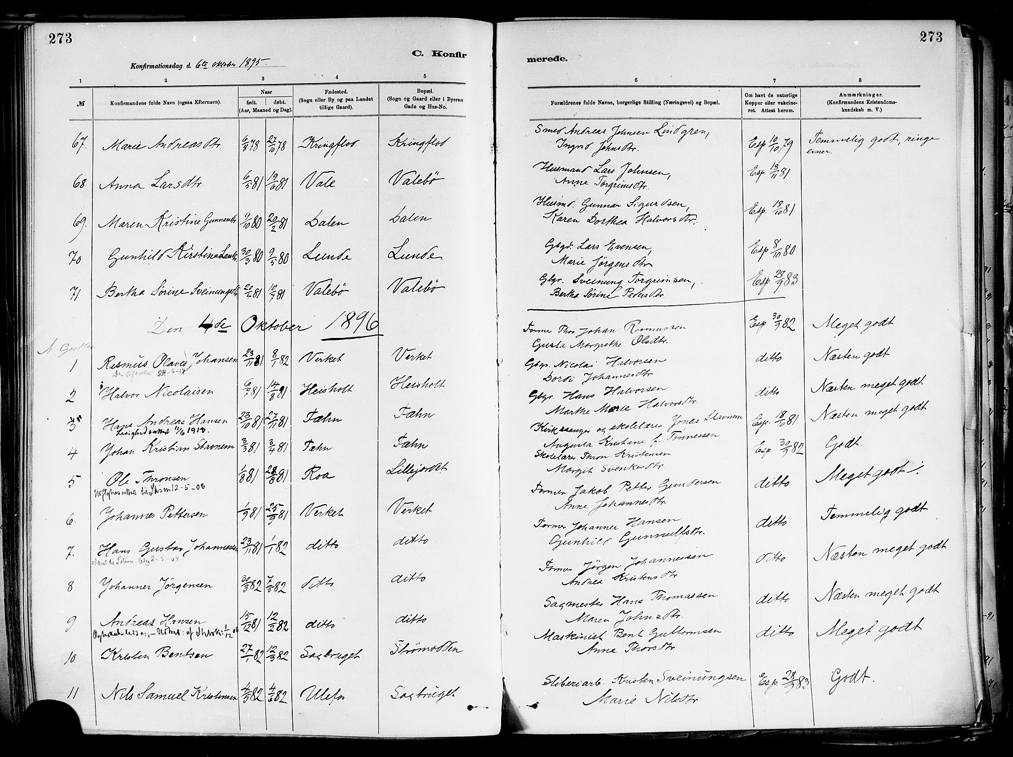 Holla kirkebøker, SAKO/A-272/F/Fa/L0008: Parish register (official) no. 8, 1882-1897, p. 273