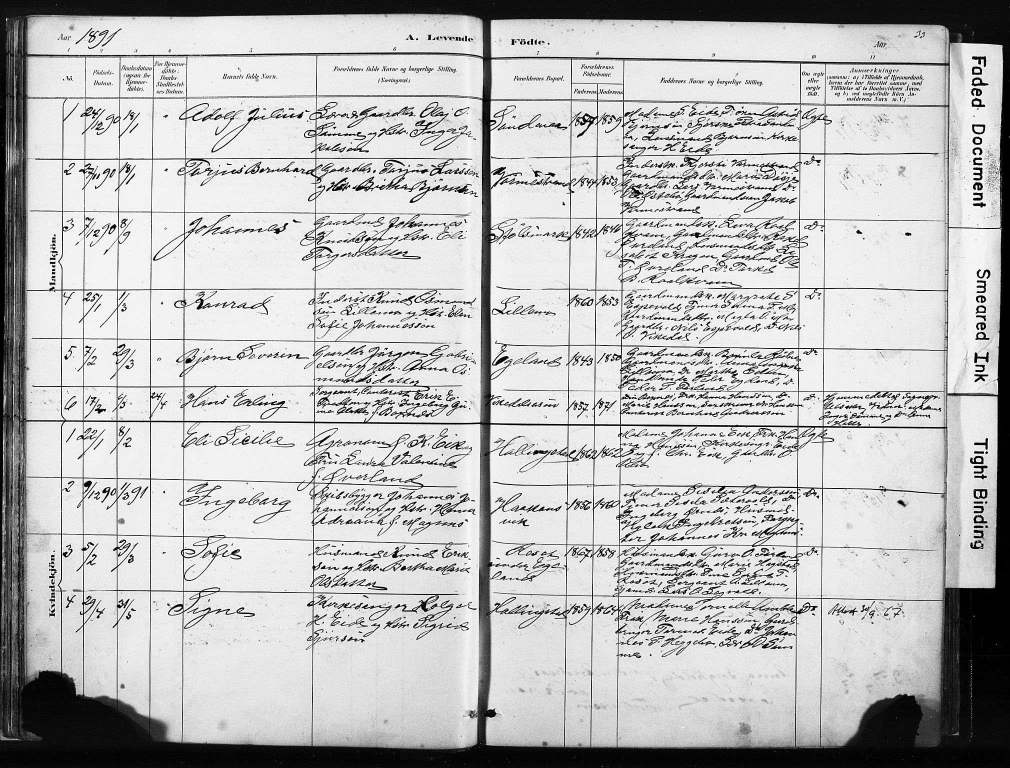 Vikedal sokneprestkontor, AV/SAST-A-101840/01/IV: Parish register (official) no. A 10, 1884-1907, p. 33