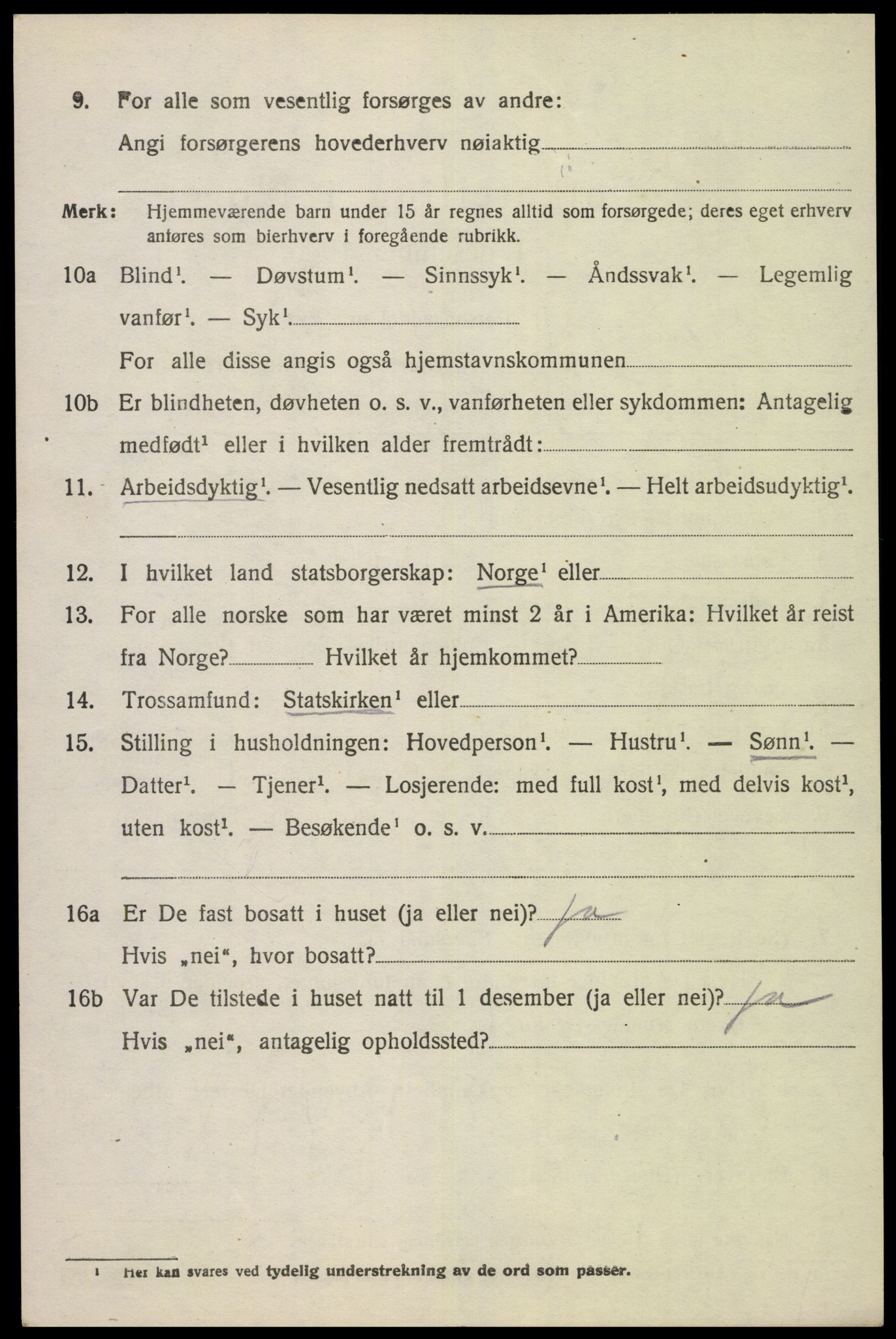 SAK, 1920 census for Nes (V-A), 1920, p. 4807