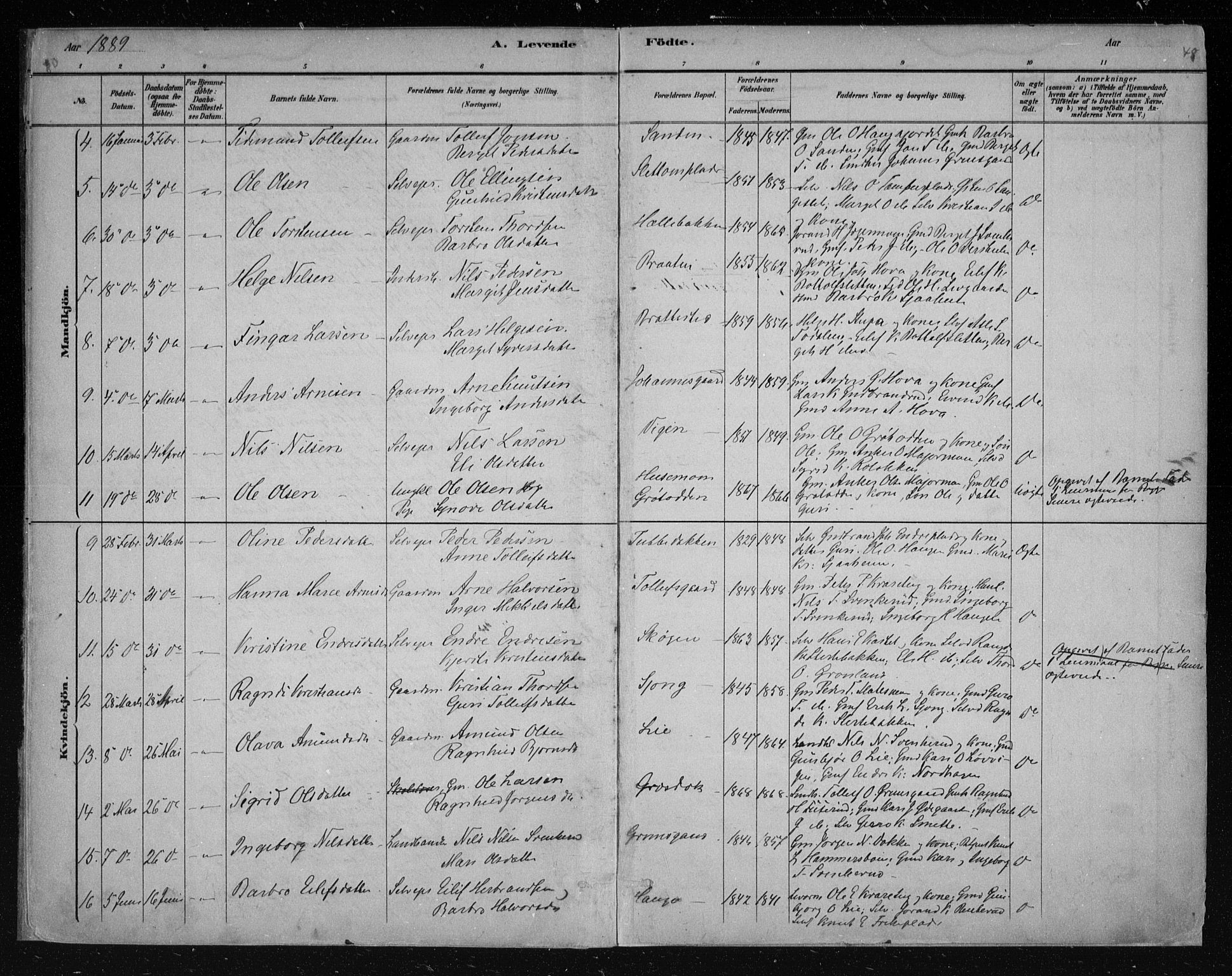 Nes kirkebøker, AV/SAKO-A-236/F/Fa/L0011: Parish register (official) no. 11, 1881-1912, p. 48