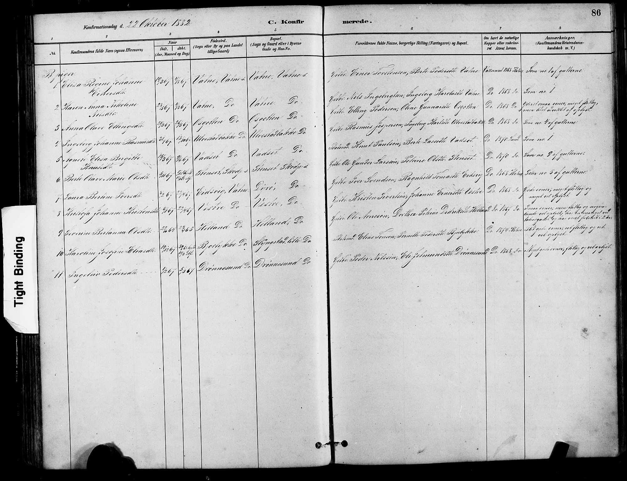 Ministerialprotokoller, klokkerbøker og fødselsregistre - Møre og Romsdal, AV/SAT-A-1454/525/L0376: Parish register (copy) no. 525C02, 1880-1902, p. 86