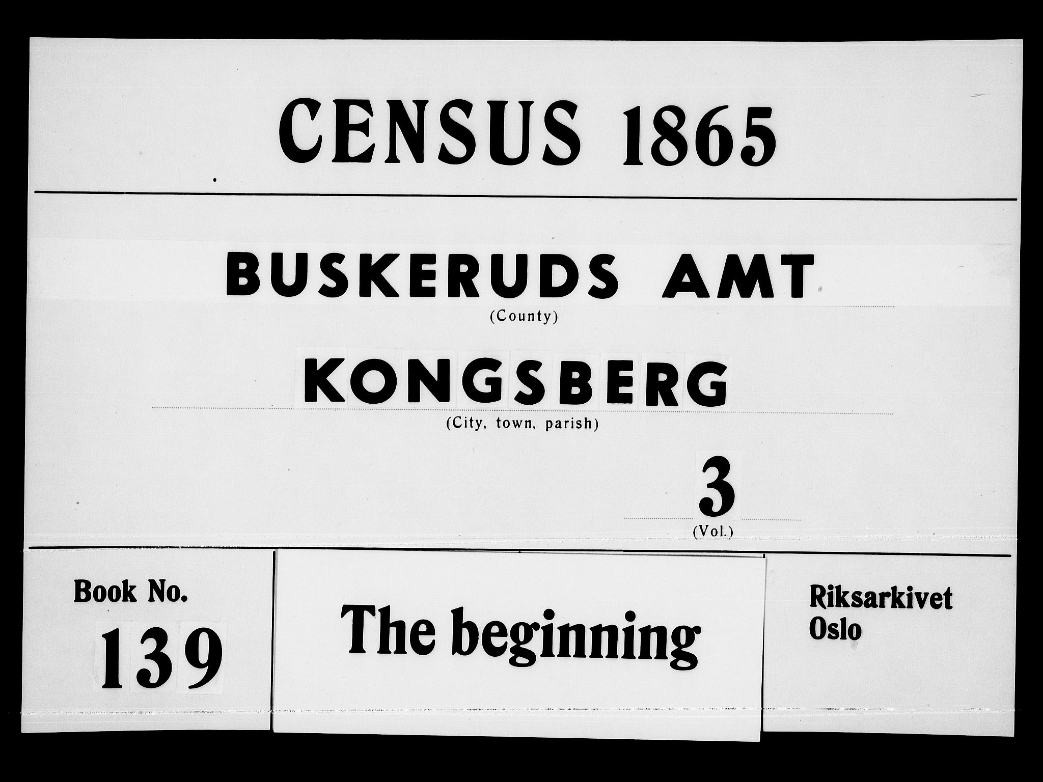 RA, 1865 census for Kongsberg/Kongsberg, 1865, p. 1010