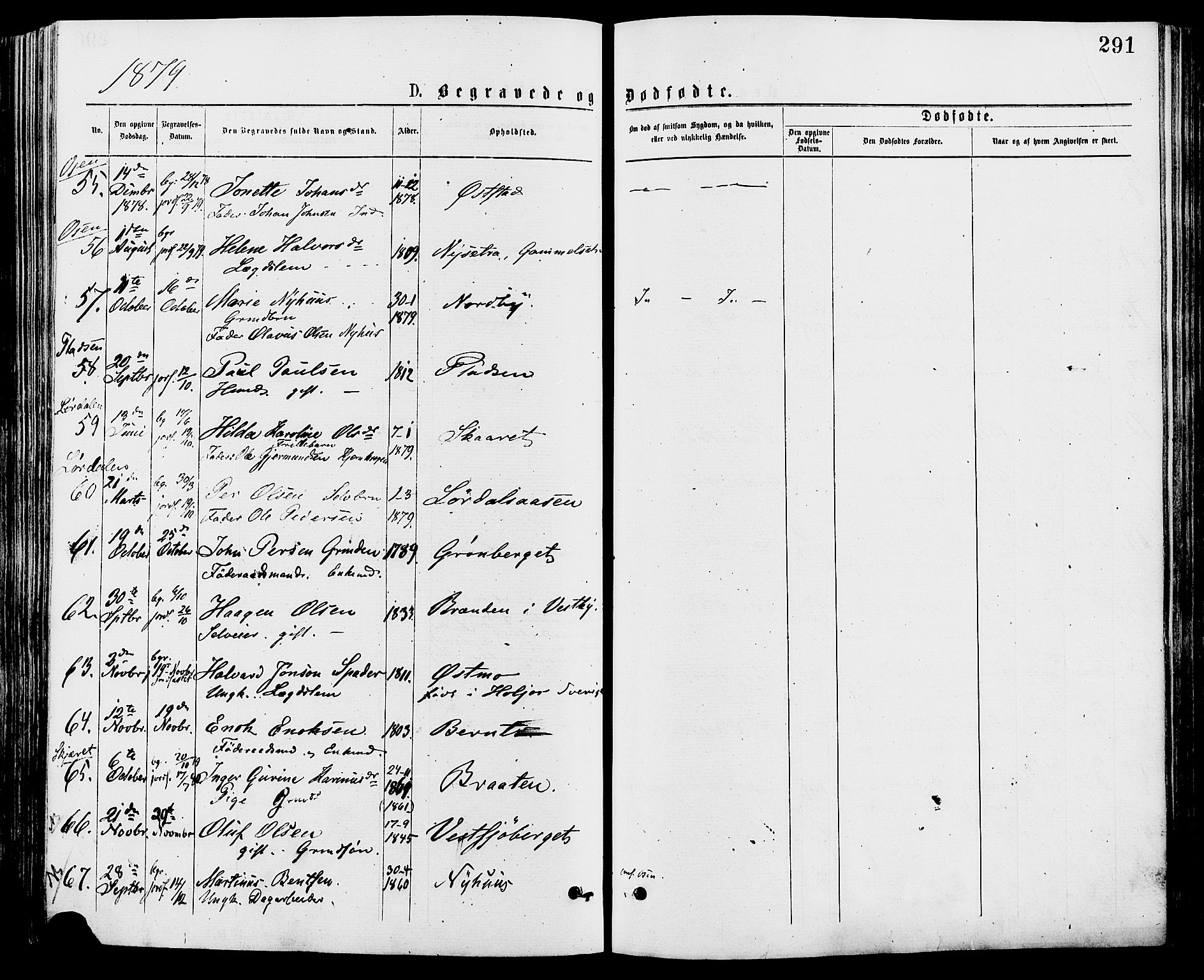 Trysil prestekontor, AV/SAH-PREST-046/H/Ha/Haa/L0007: Parish register (official) no. 7, 1874-1880, p. 291