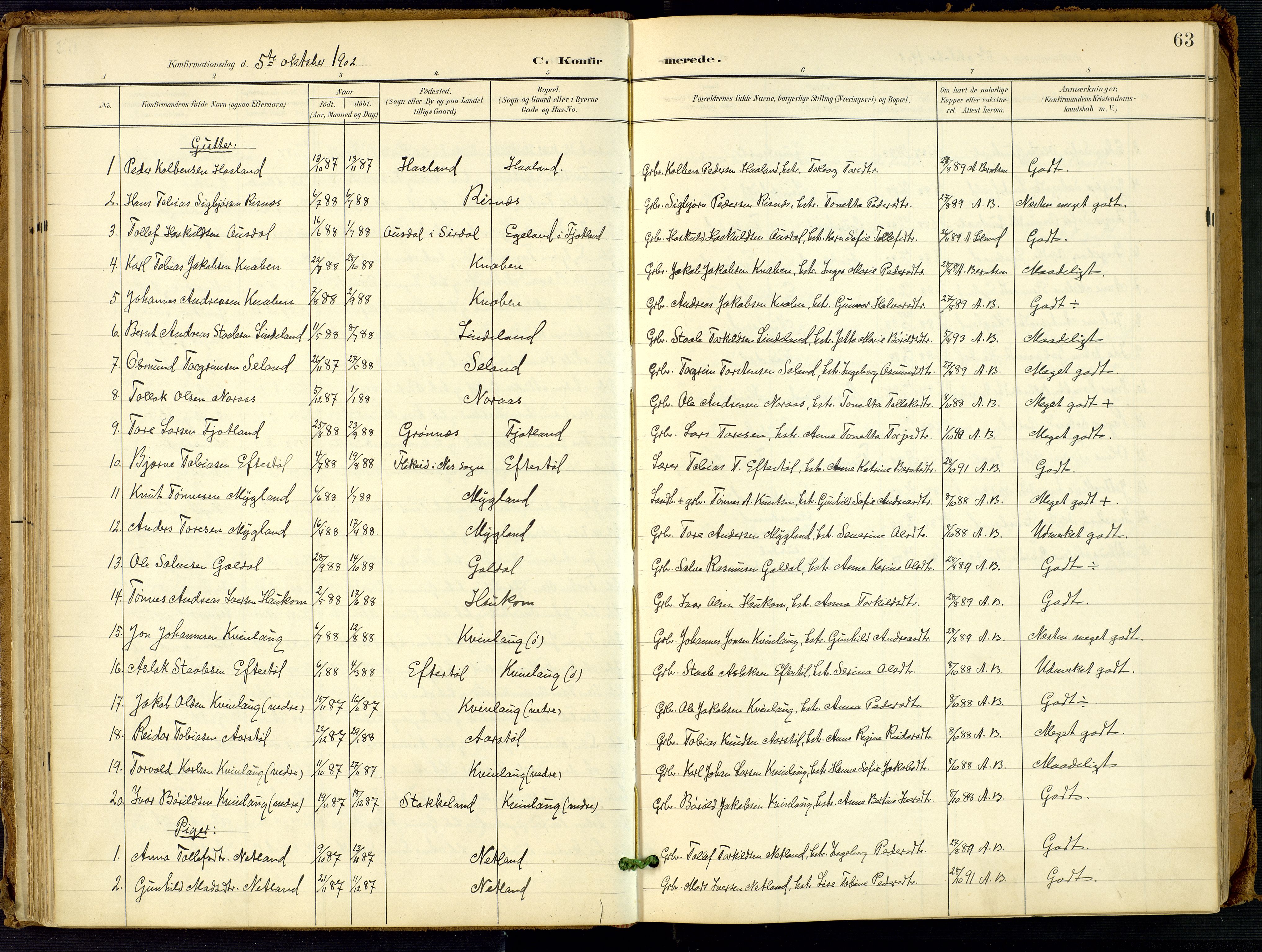 Fjotland sokneprestkontor, SAK/1111-0010/F/Fa/L0003: Parish register (official) no. A 3, 1899-1917, p. 63